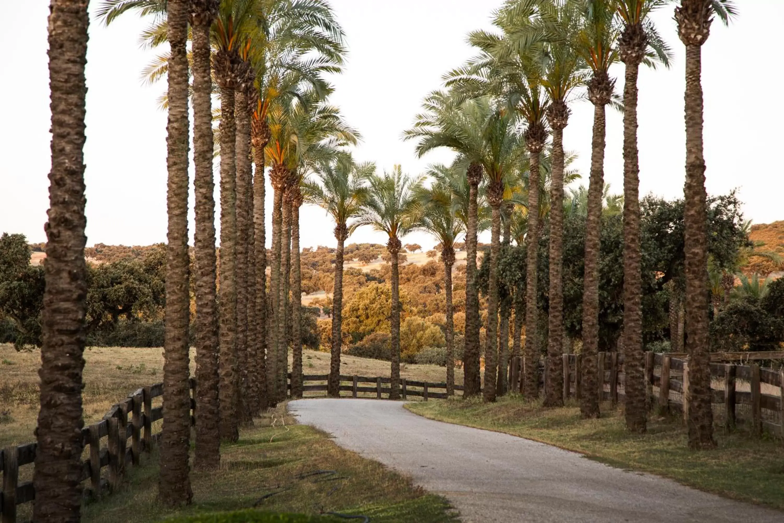 Property building, Garden in Alojamiento Rural Finca Barral