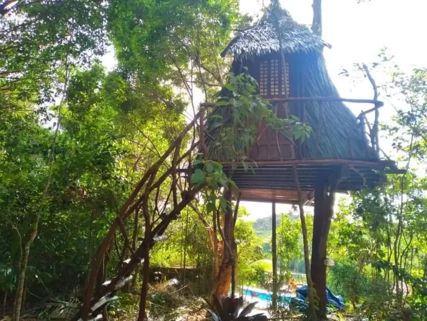 Sanctuaria Treehouses Busuanga