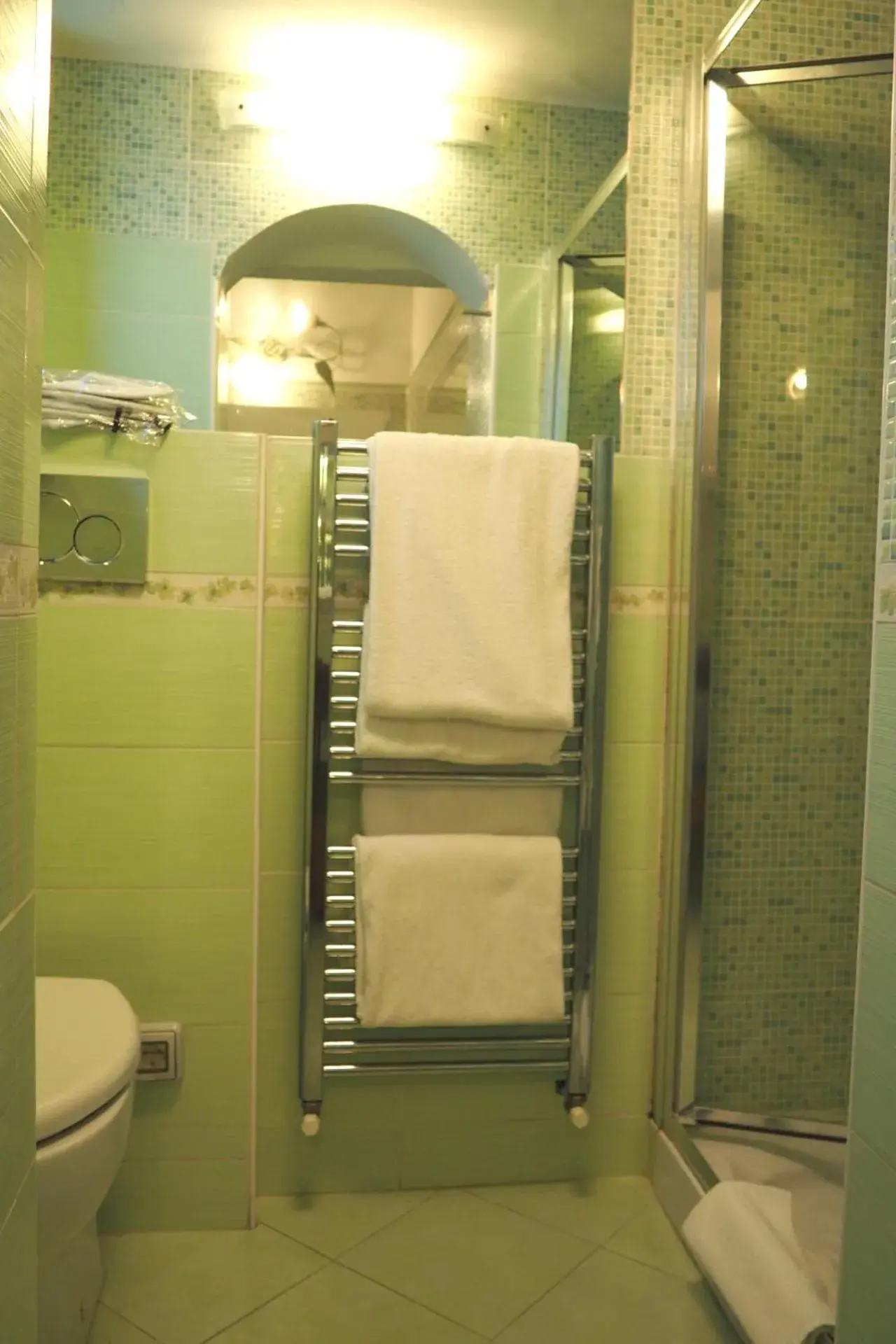 Shower in Hotel Ester Shower in Hotel Ester