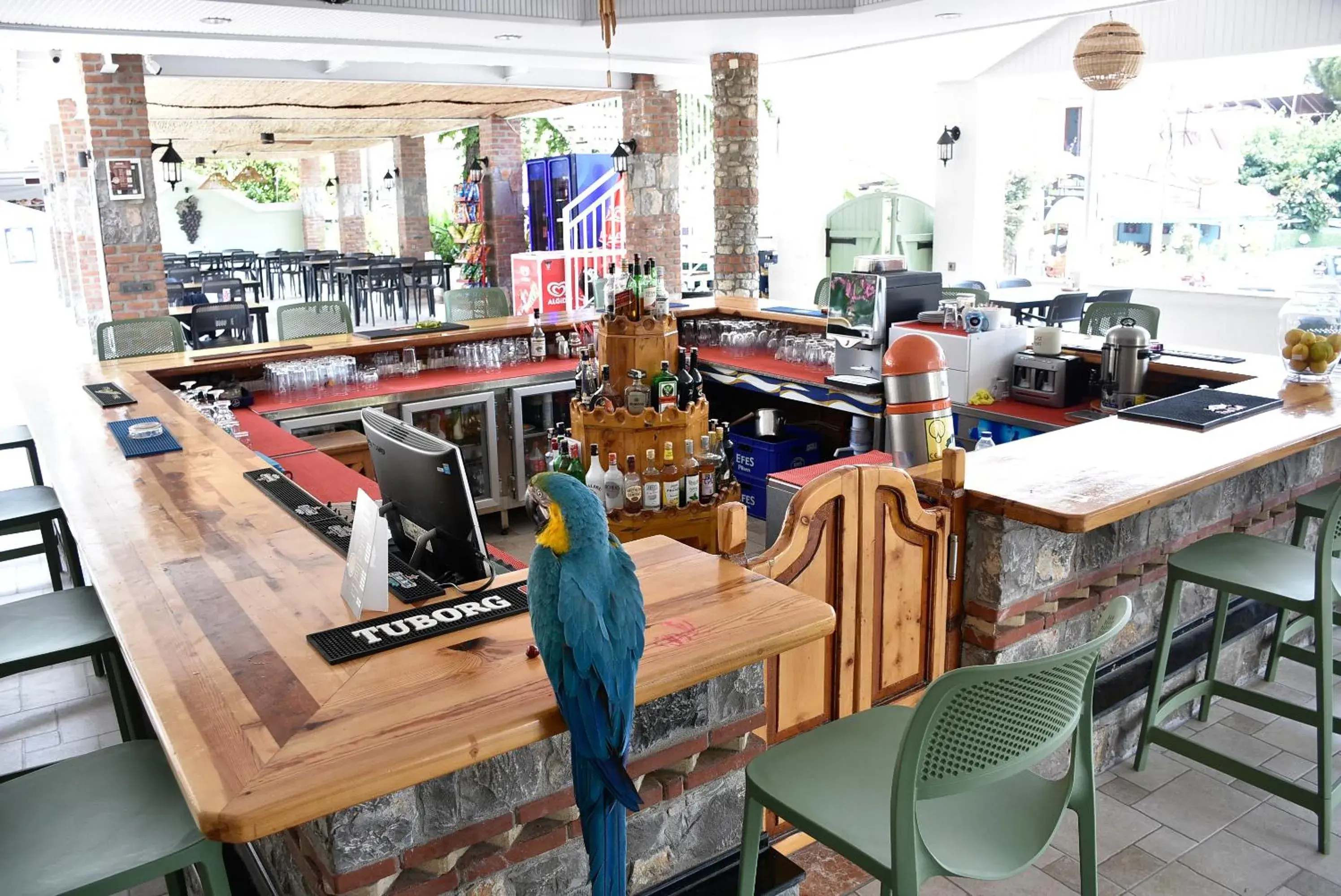 Lounge or bar, Restaurant/Places to Eat in Magic Tulip Hotel