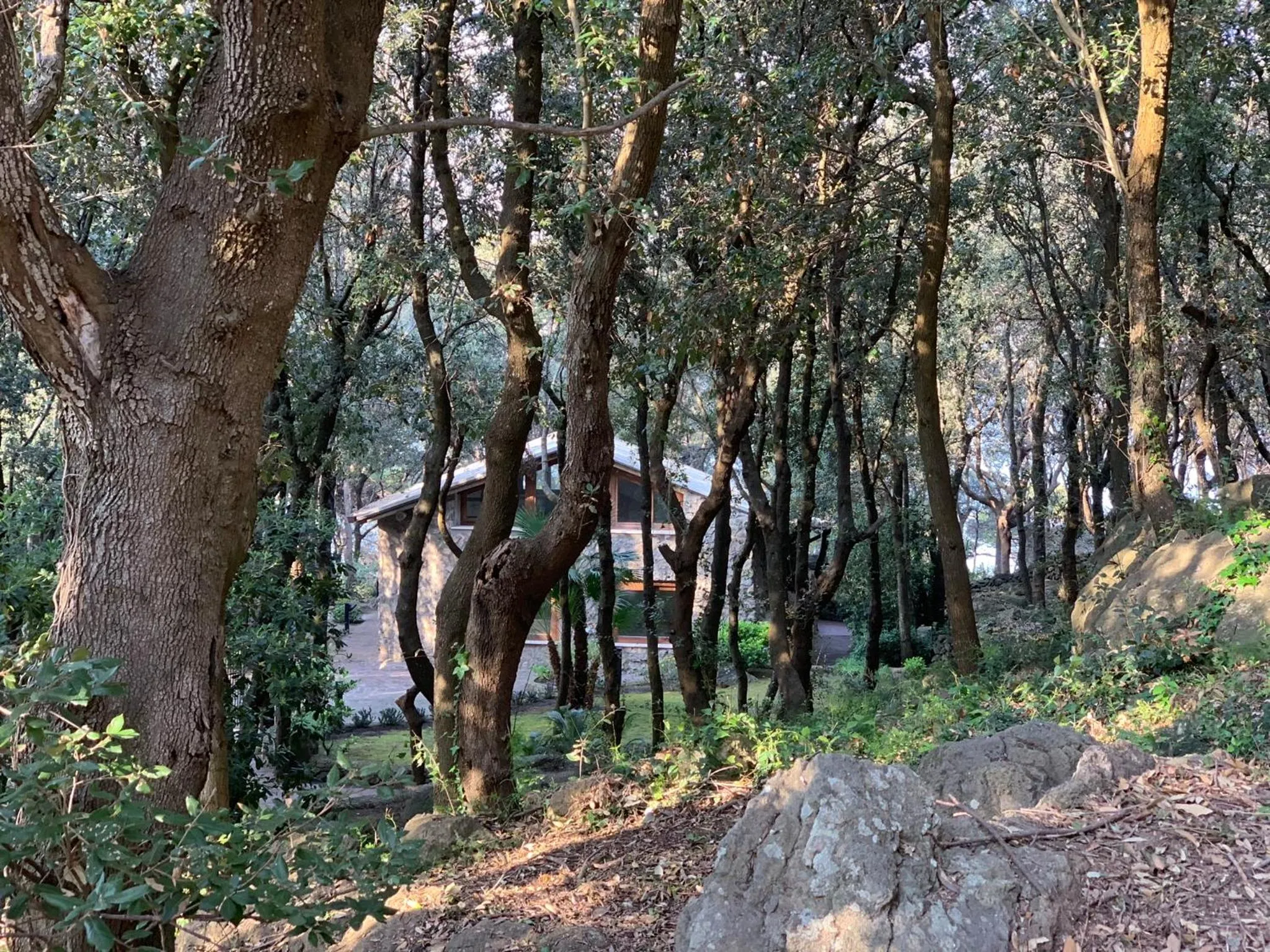 Garden in Mezzatorre Hotel & Thermal Spa