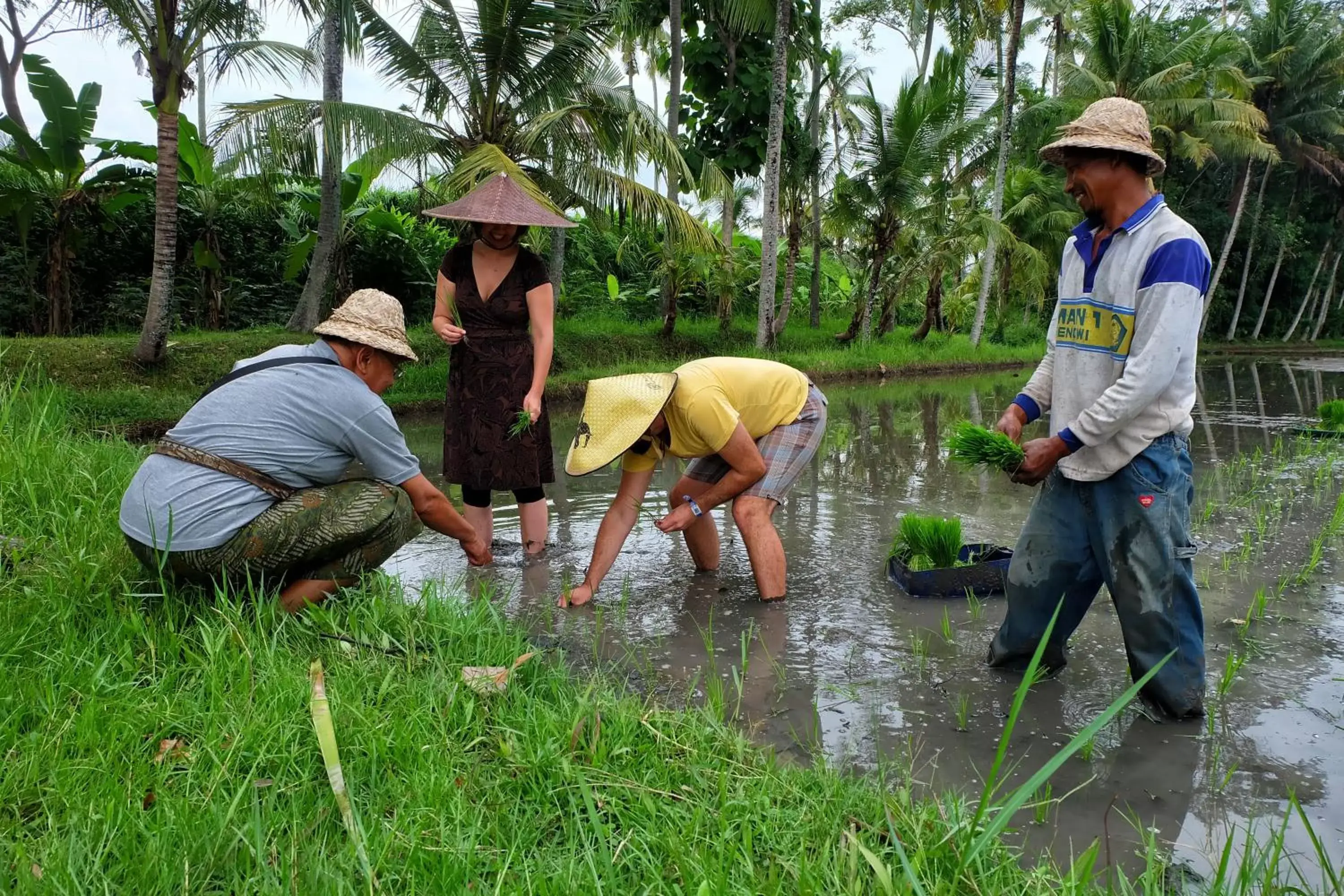 Activities in Puri Taman Sari