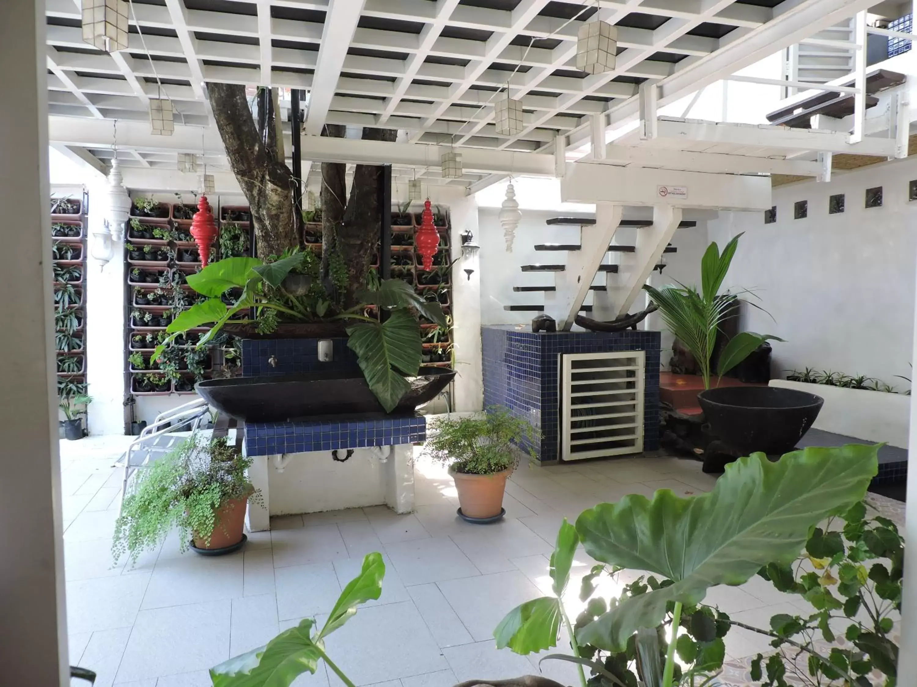 Patio in Orange Mangrove Pension House