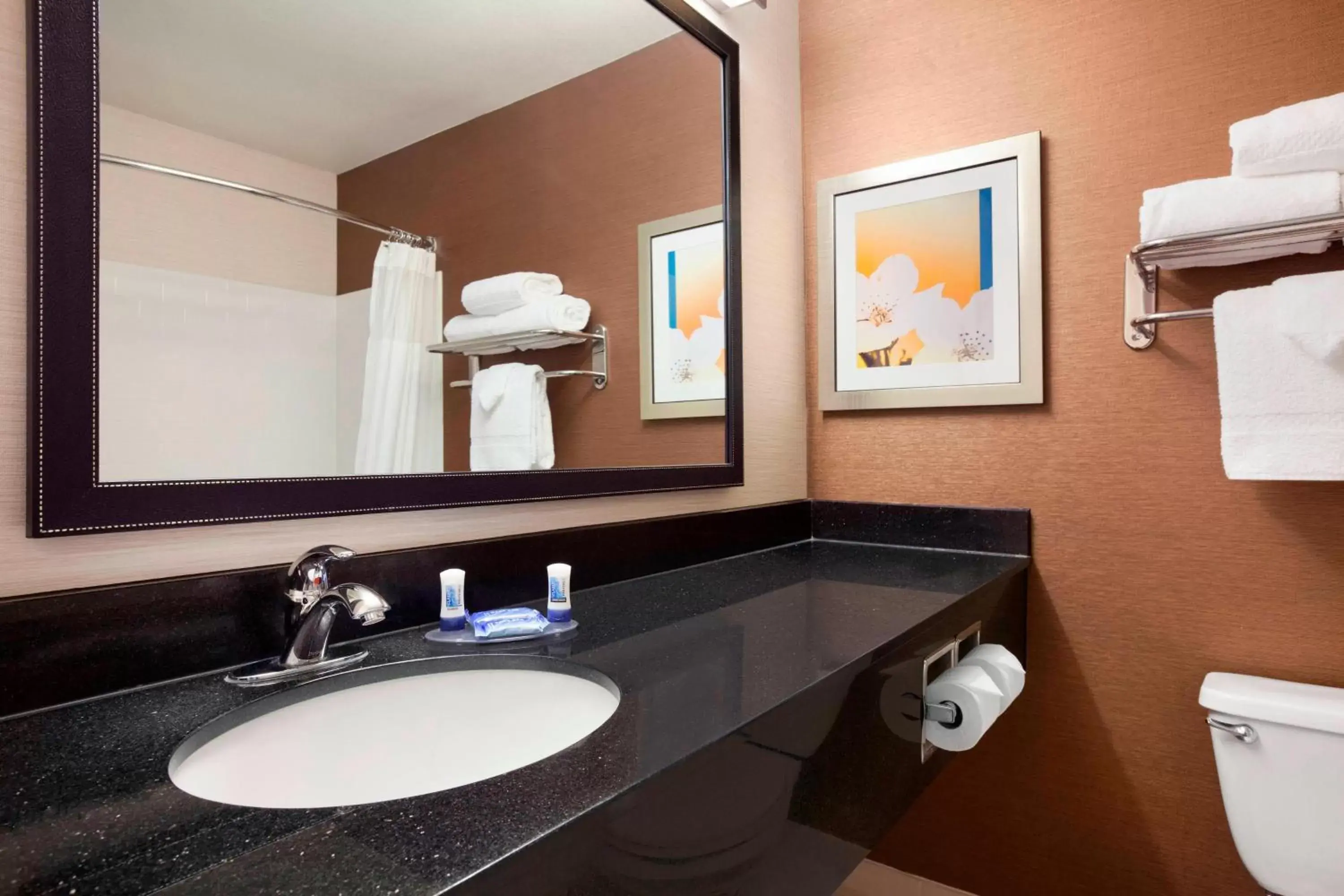 Bathroom in Fairfield Inn & Suites Lansing West