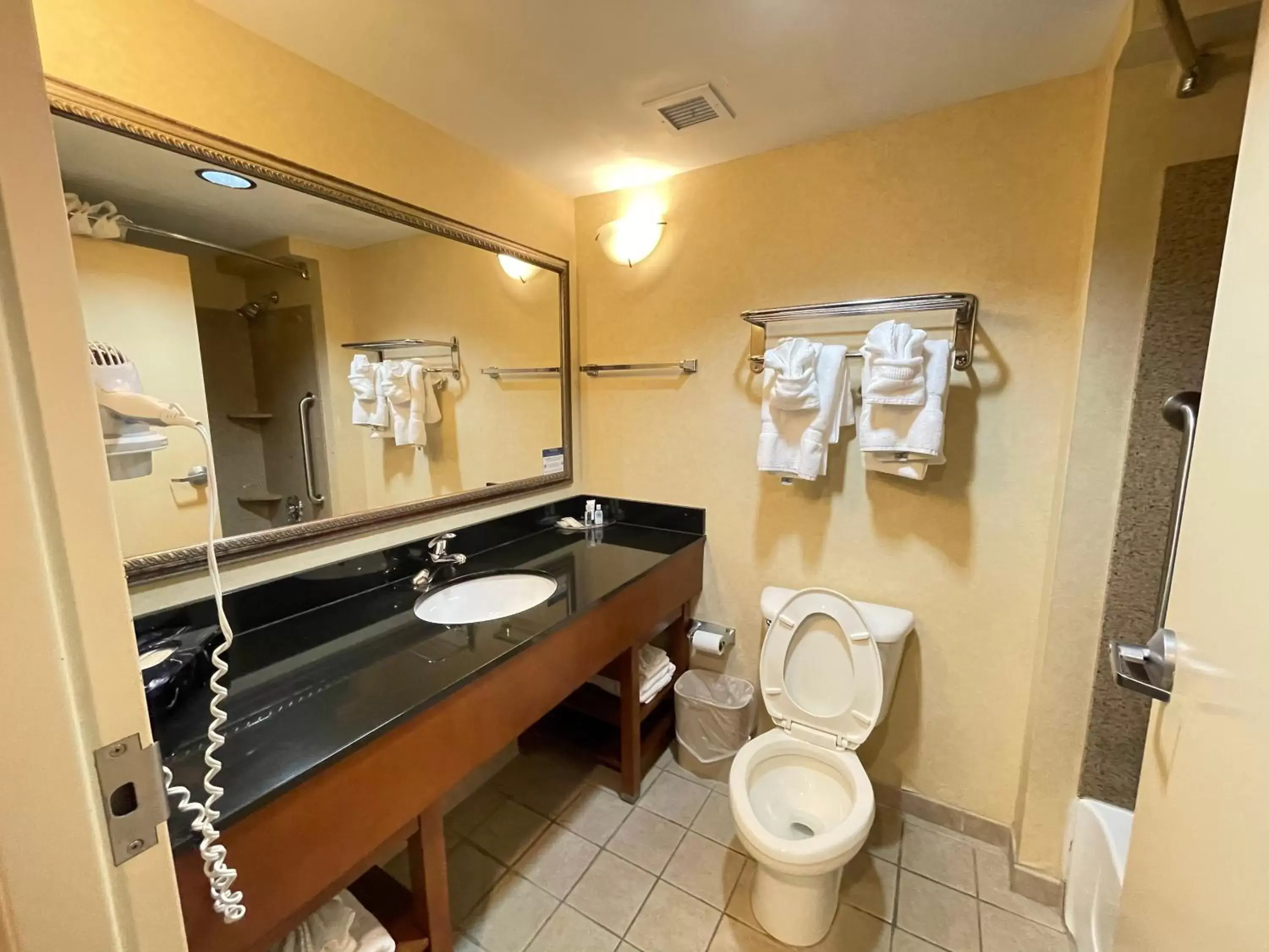 Bathroom in Comfort Suites Fredericksburg North