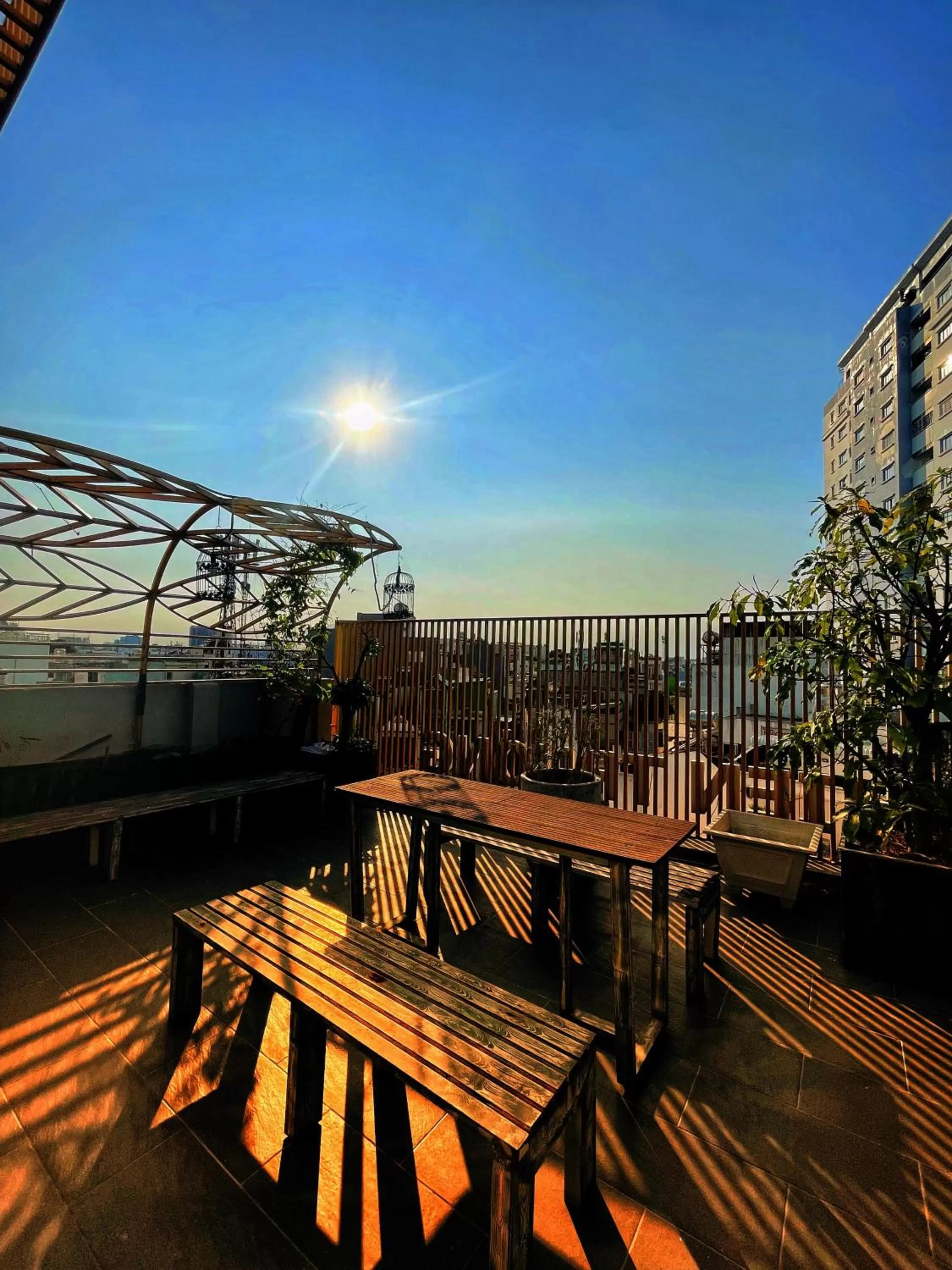 Sunset in Cactusland Boutique Hotel