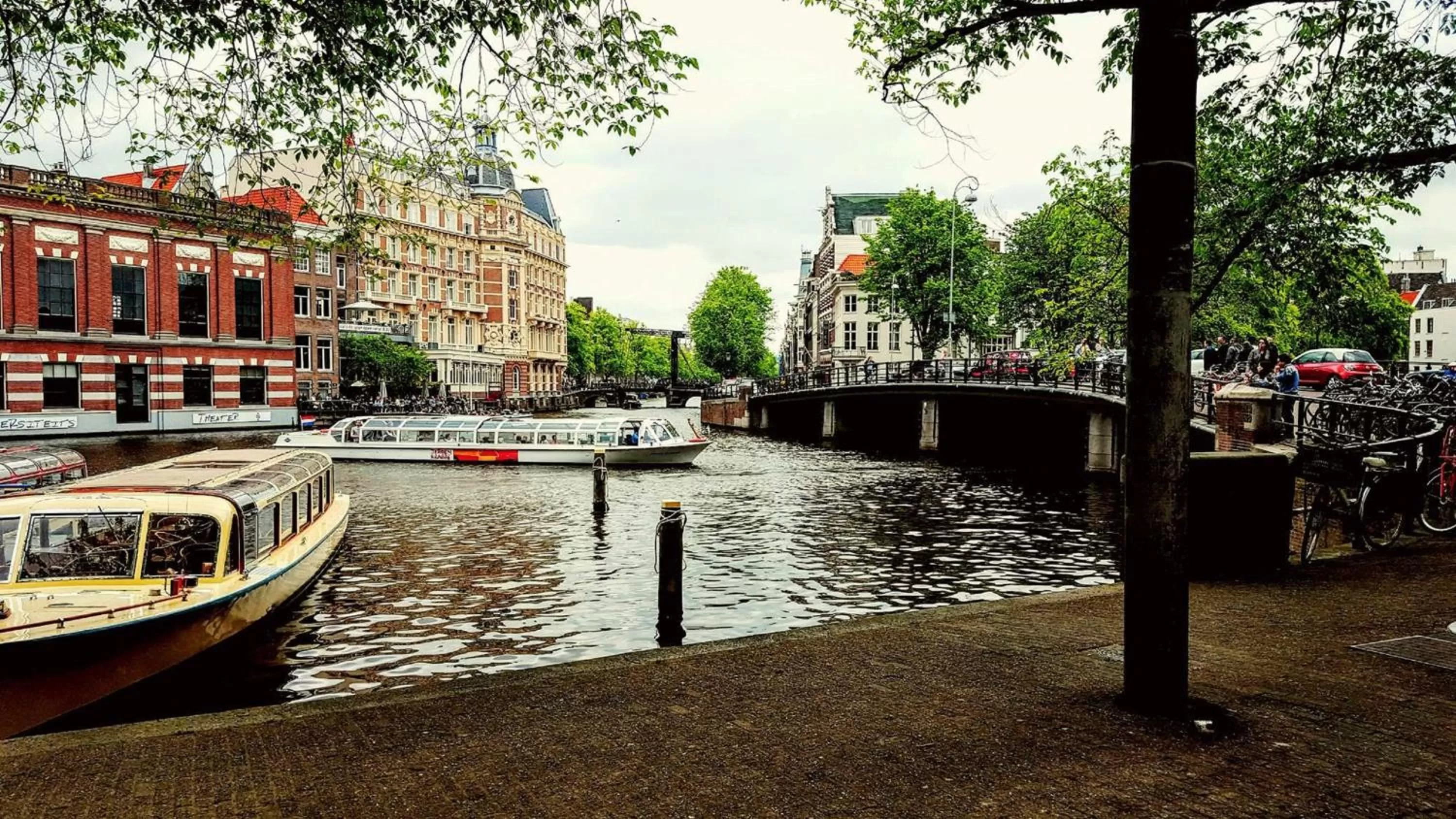 Neighbourhood in Hotel The Bird