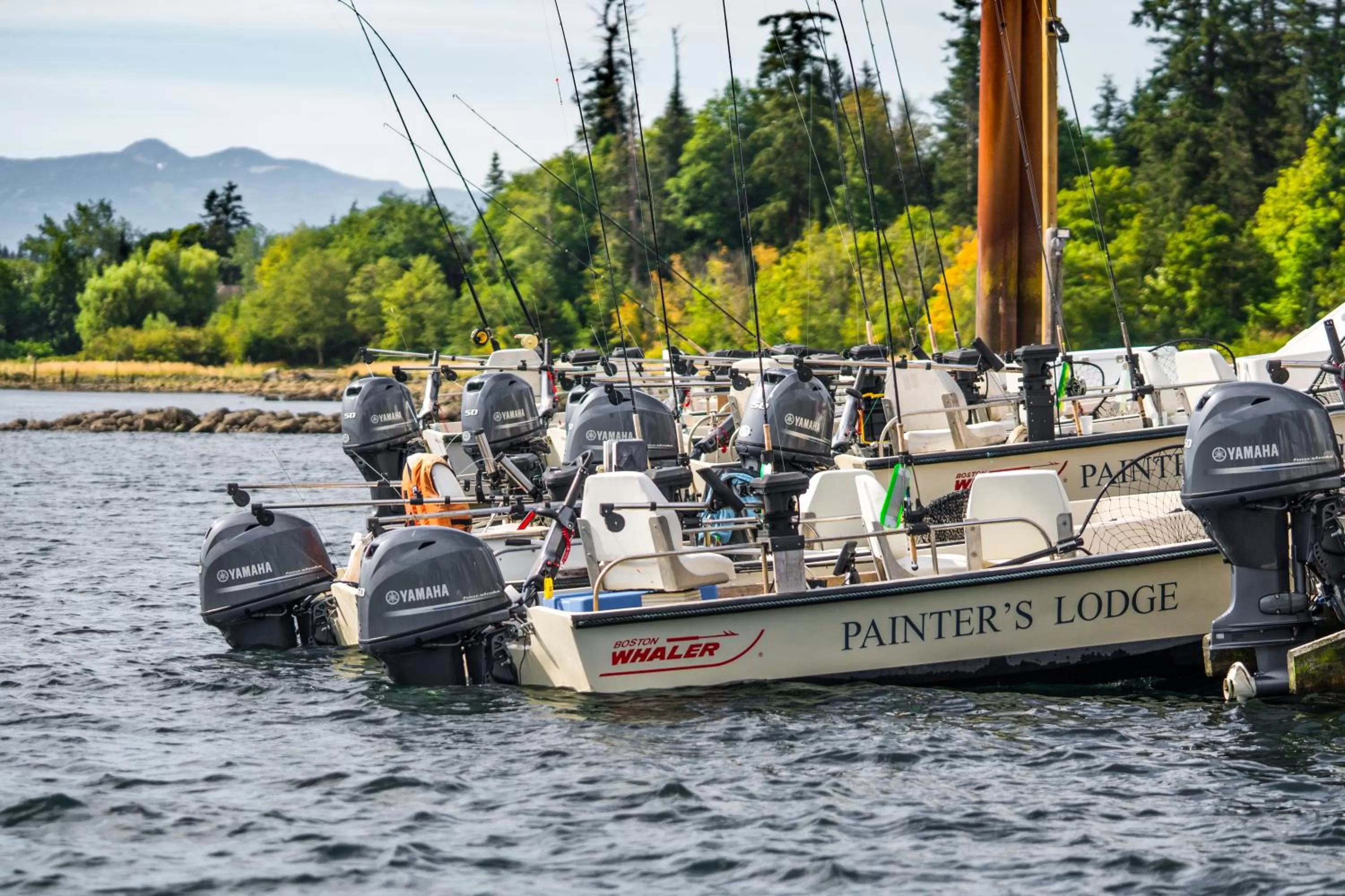 Activities in Painter's Lodge, Trademark Collection by Wyndham