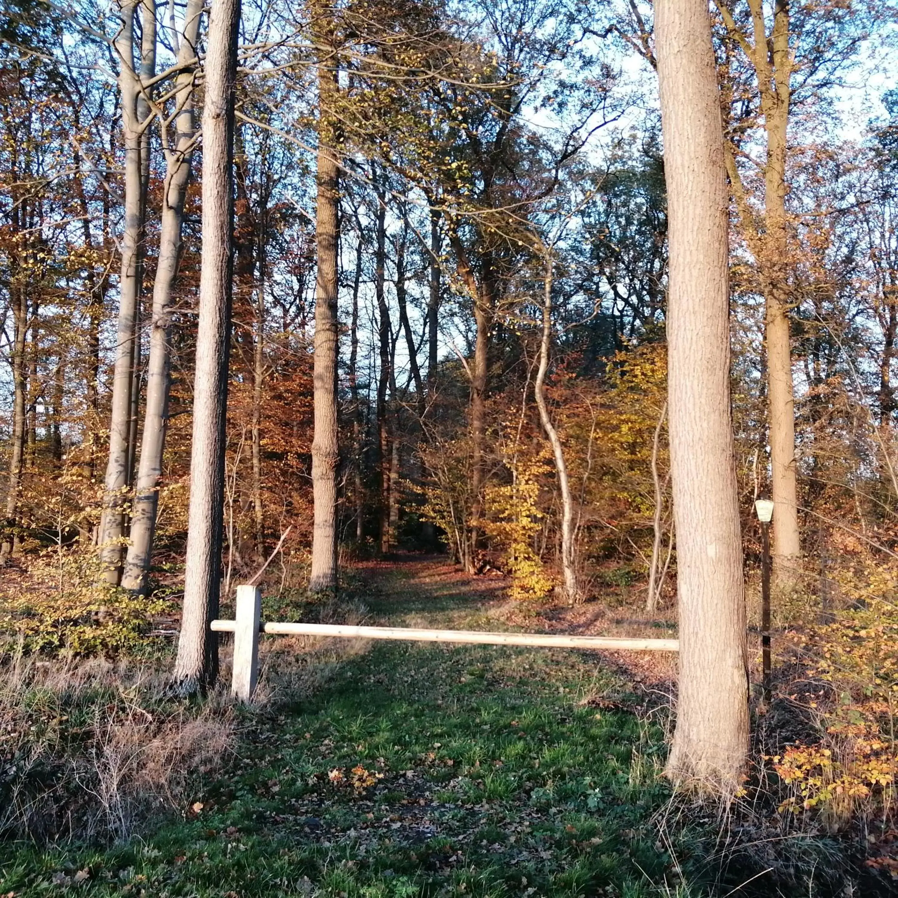Natural landscape in Veenemaat