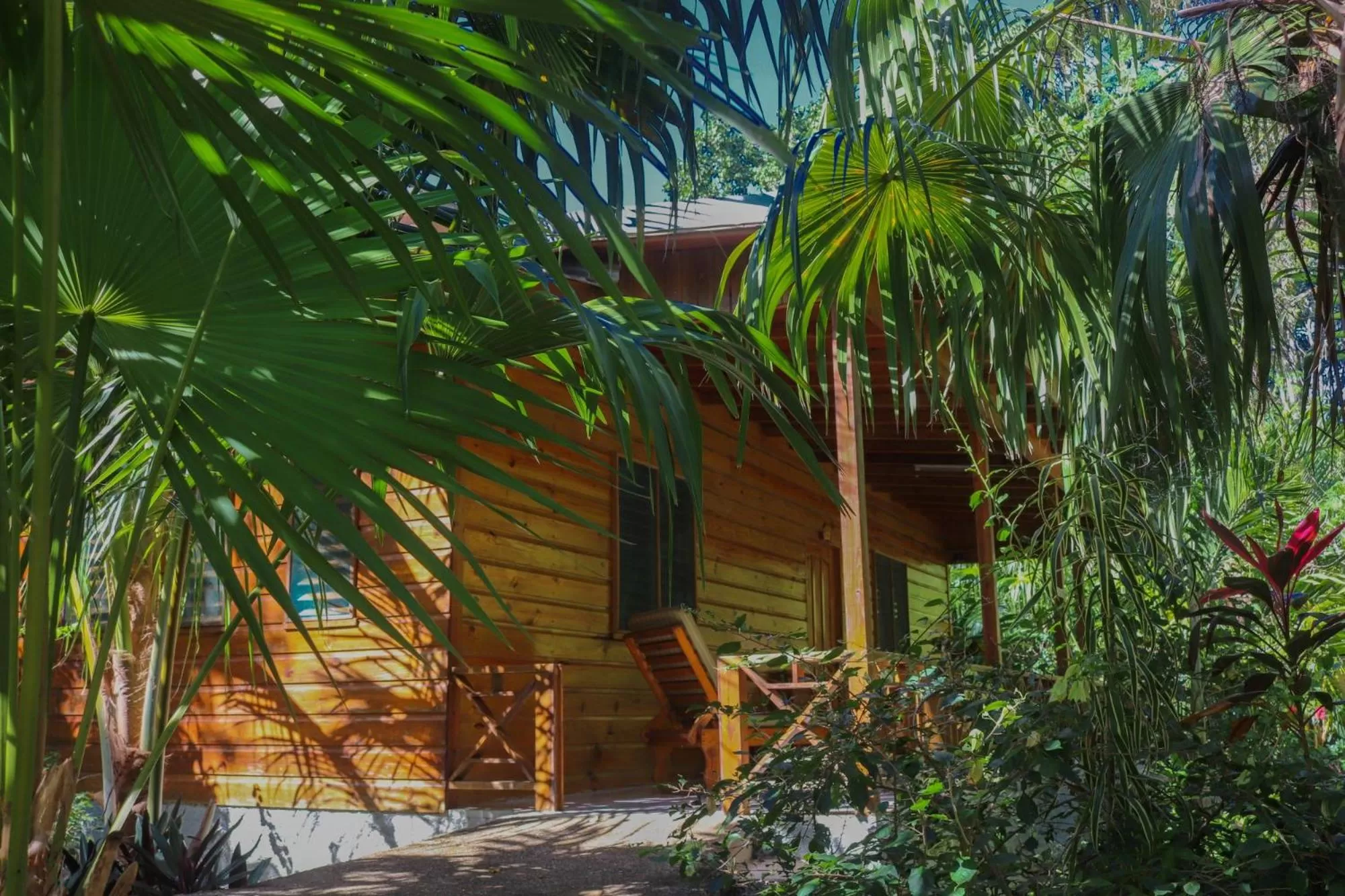 On site, Property Building in Lighthouse Inn 2