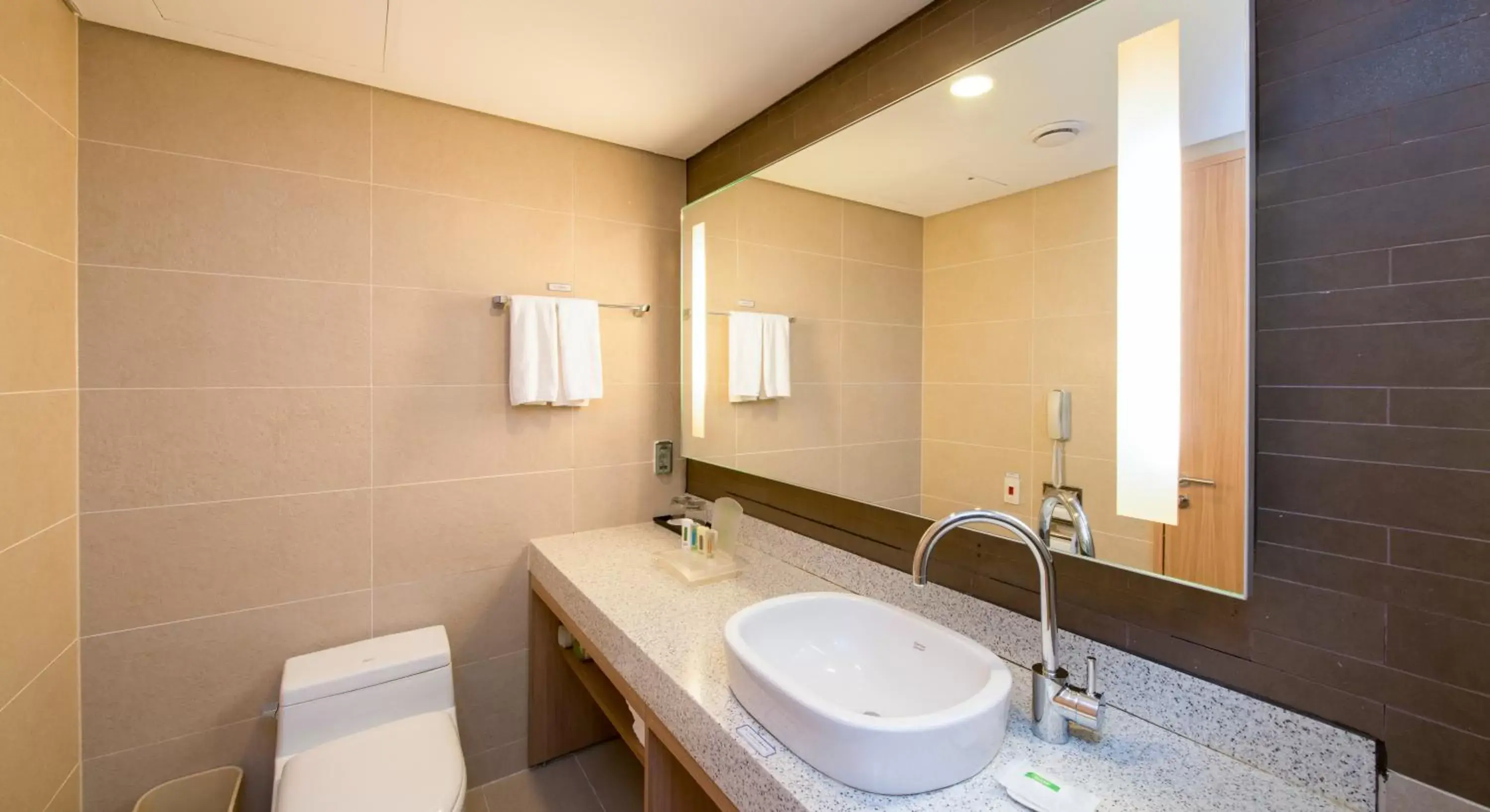 Bathroom in Holiday Inn Resort Alpensia Pyeongchang, an IHG Hotel