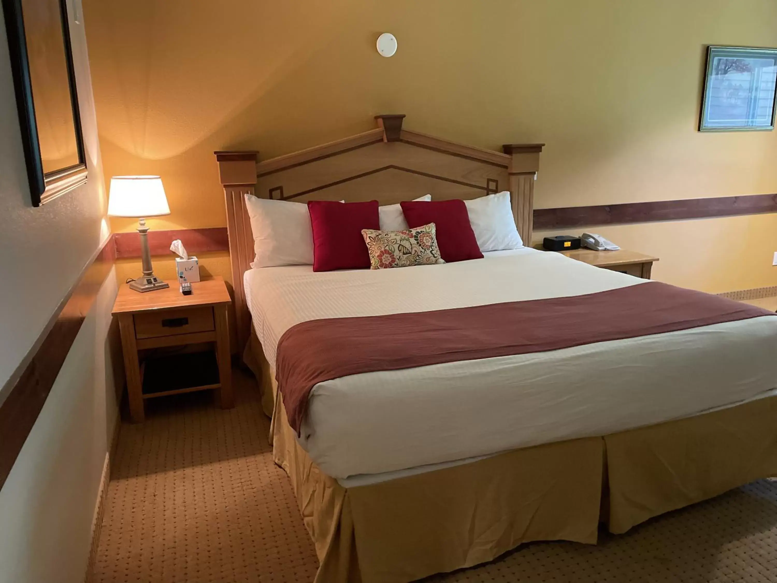 Deluxe King Room in Carson Hot Springs Resort & Spa