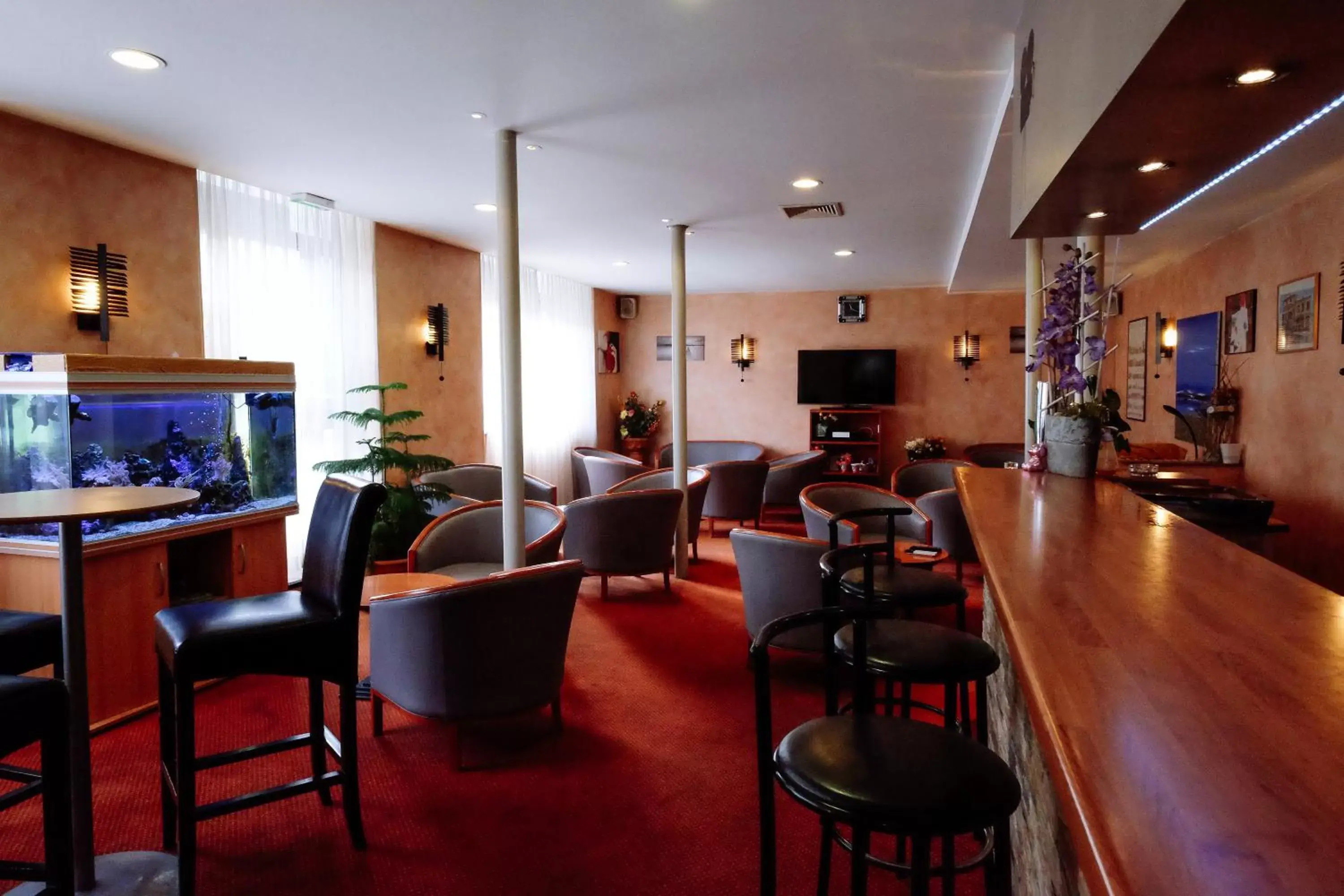 Lounge or bar, Lounge/Bar in Hôtel Pedussaut