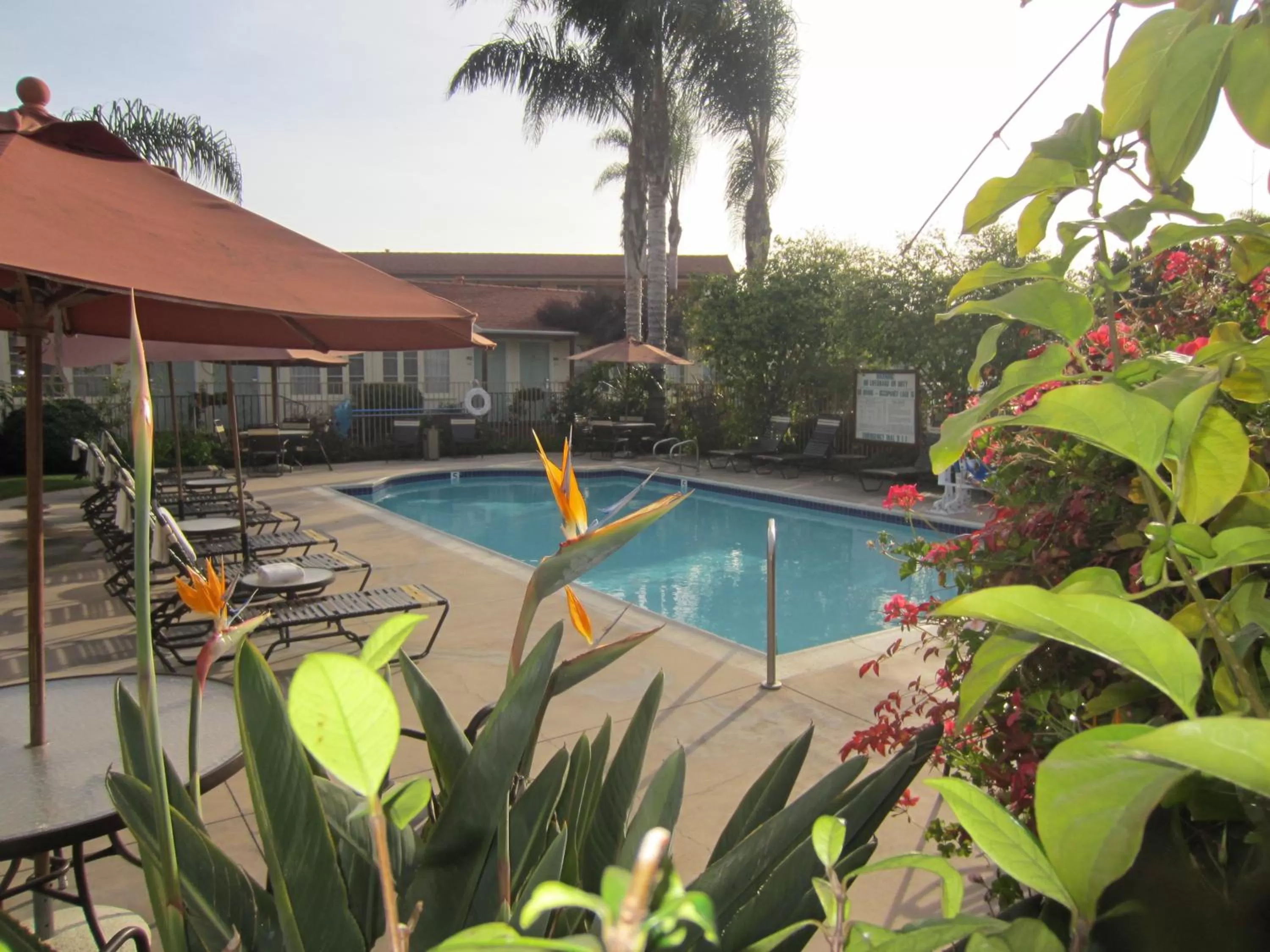 Swimming pool in Old Town Inn