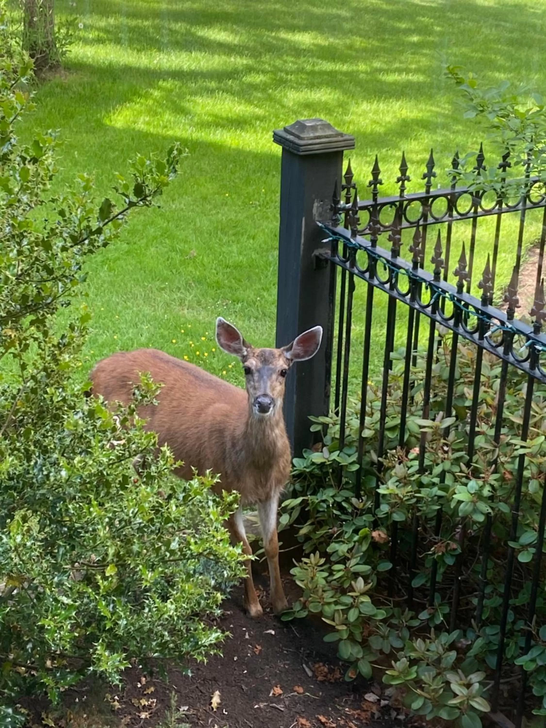 Amante Luxury Bed & Breakfast