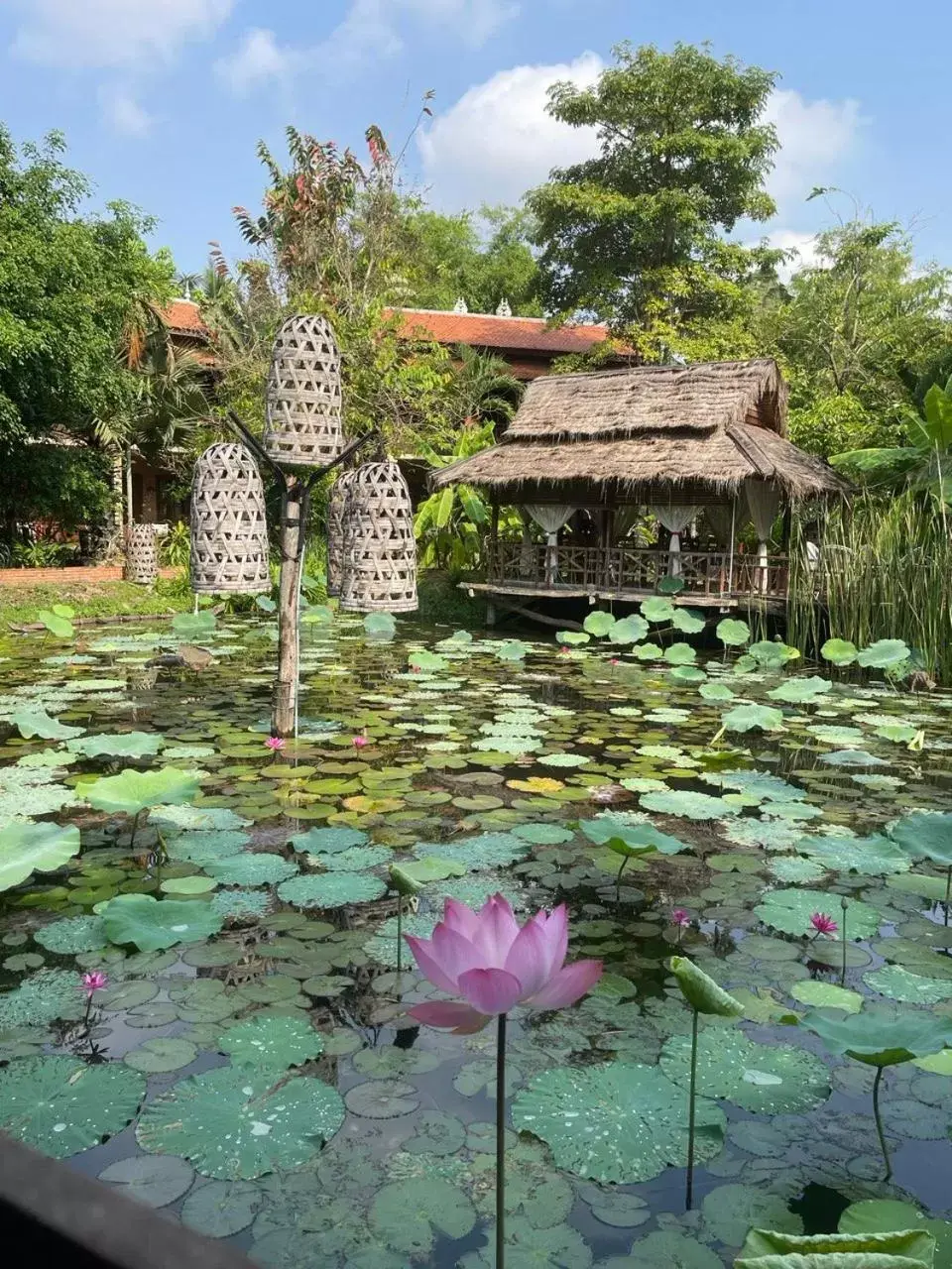 Garden view in Maisons Wat Kor Garden view in Maisons Wat Kor