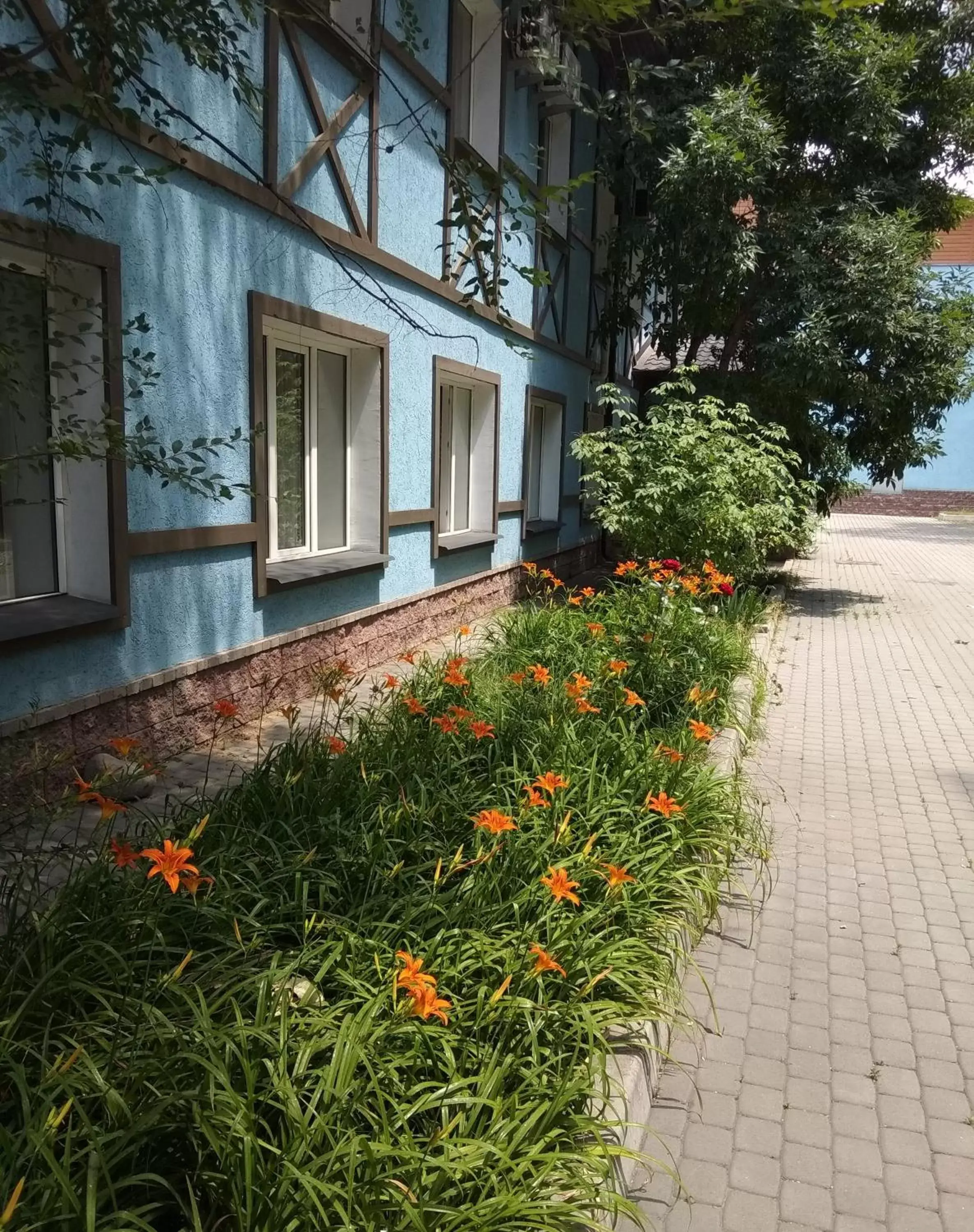 Facade/entrance in Resident Hotel Almaty Facade/entrance in Resident Hotel Almaty