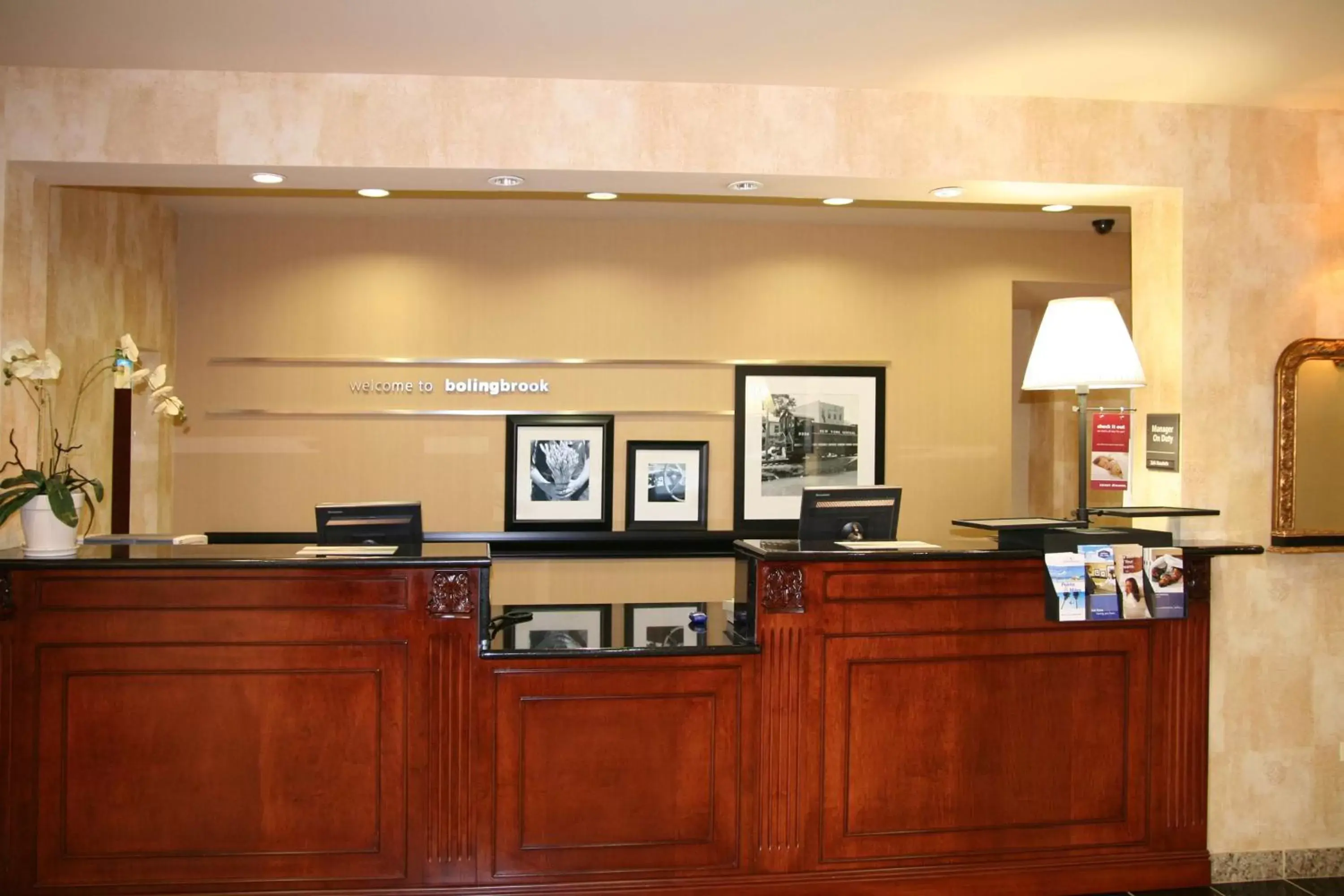 Lobby or reception, Lobby/Reception in Hampton Inn & Suites Bolingbrook