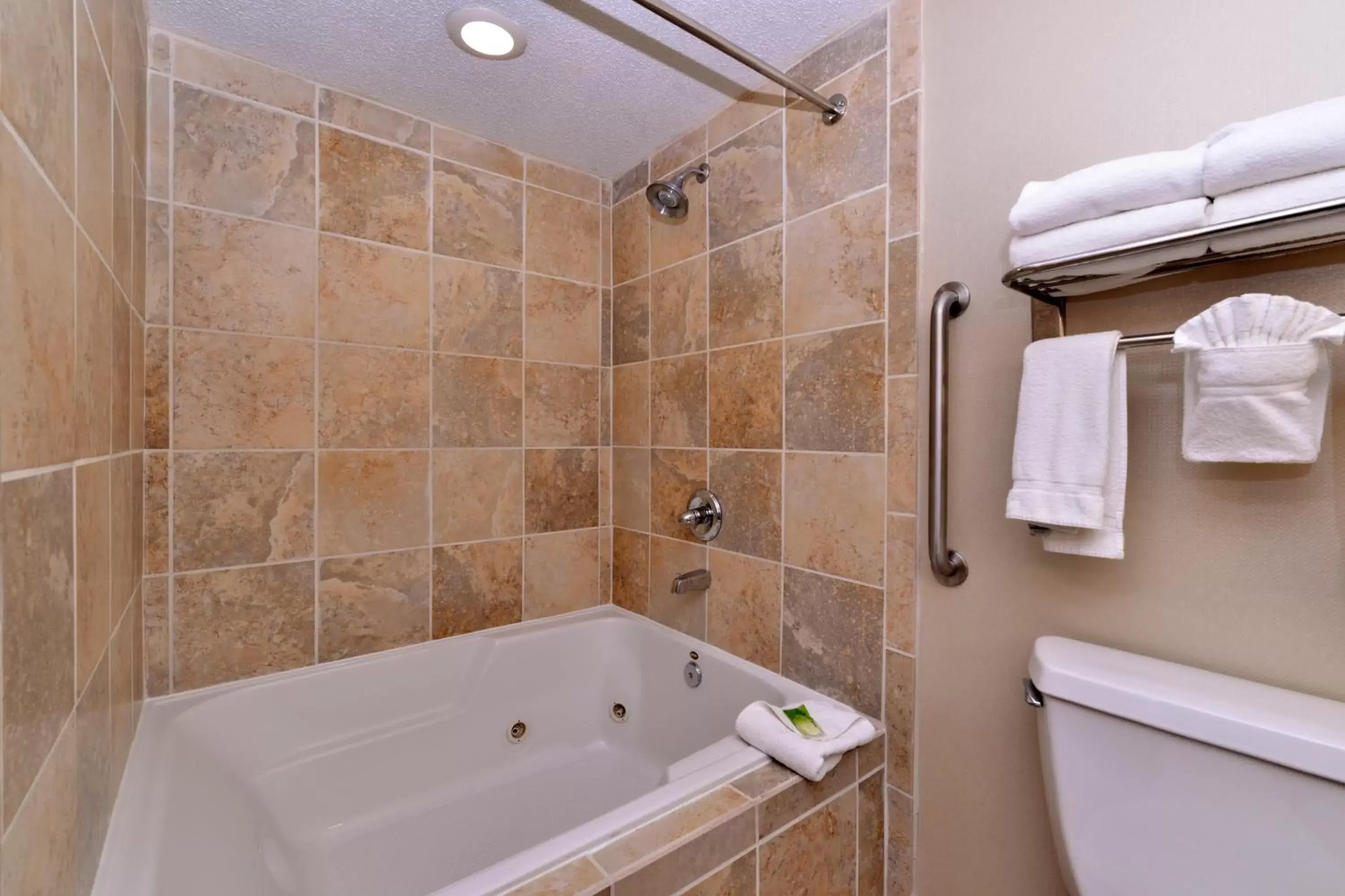 Photo of the whole room, Bathroom in Holiday Inn Express Hotel & Suites Indianapolis W - Airport Area, an IHG Hotel