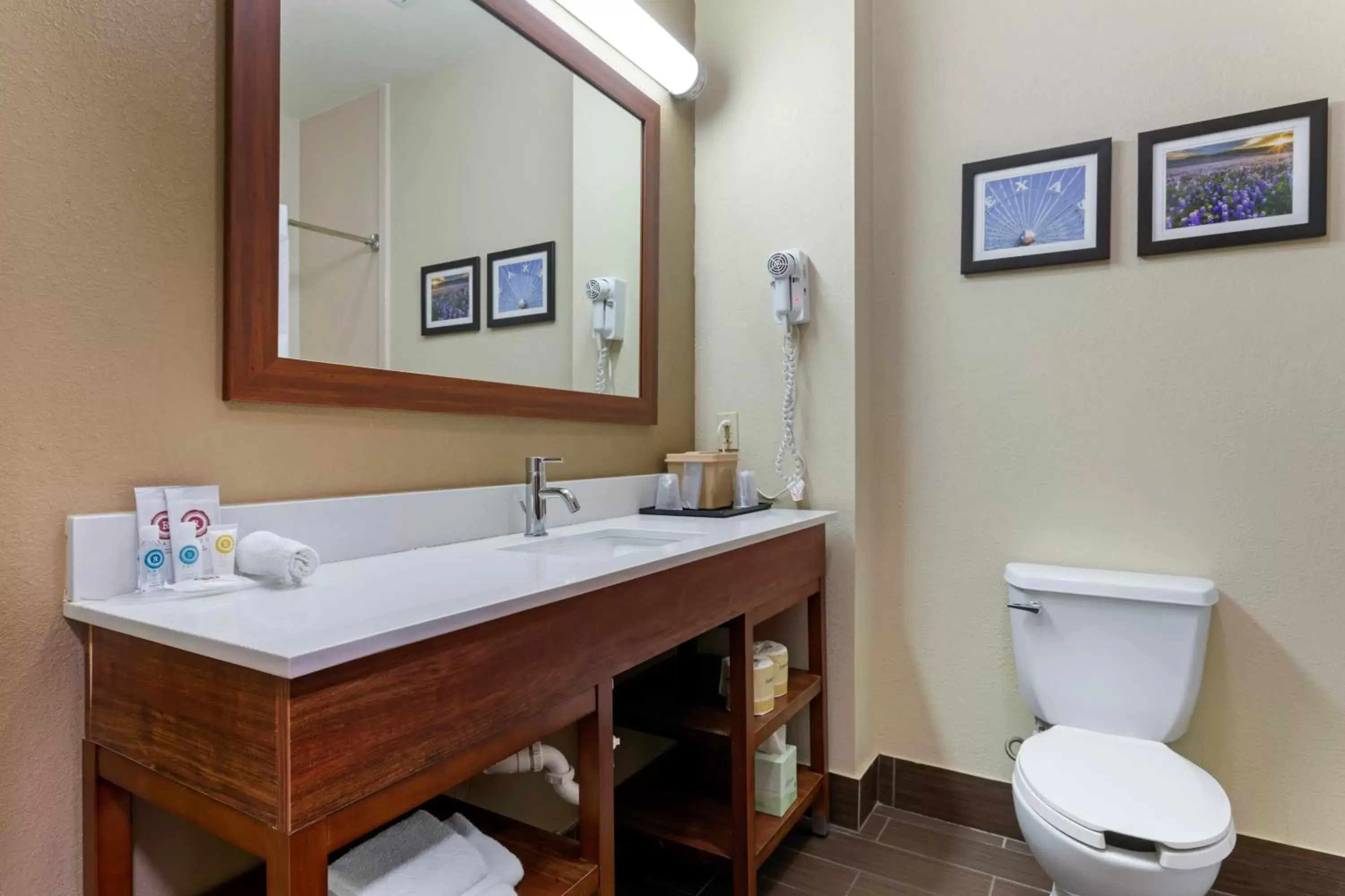 Bathroom in Comfort Suites Gainesville