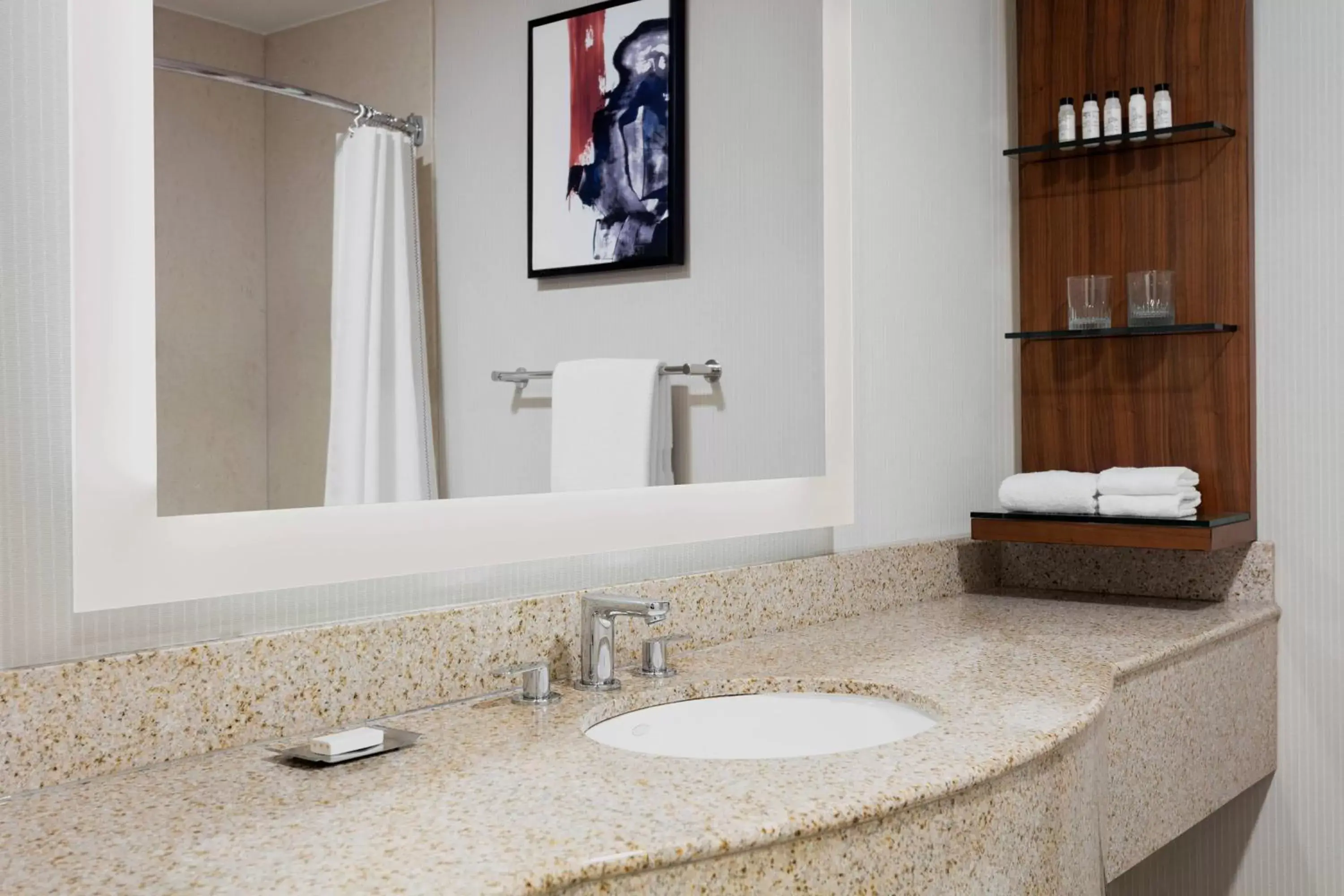 Bathroom in Delta Hotels by Marriott Burlington