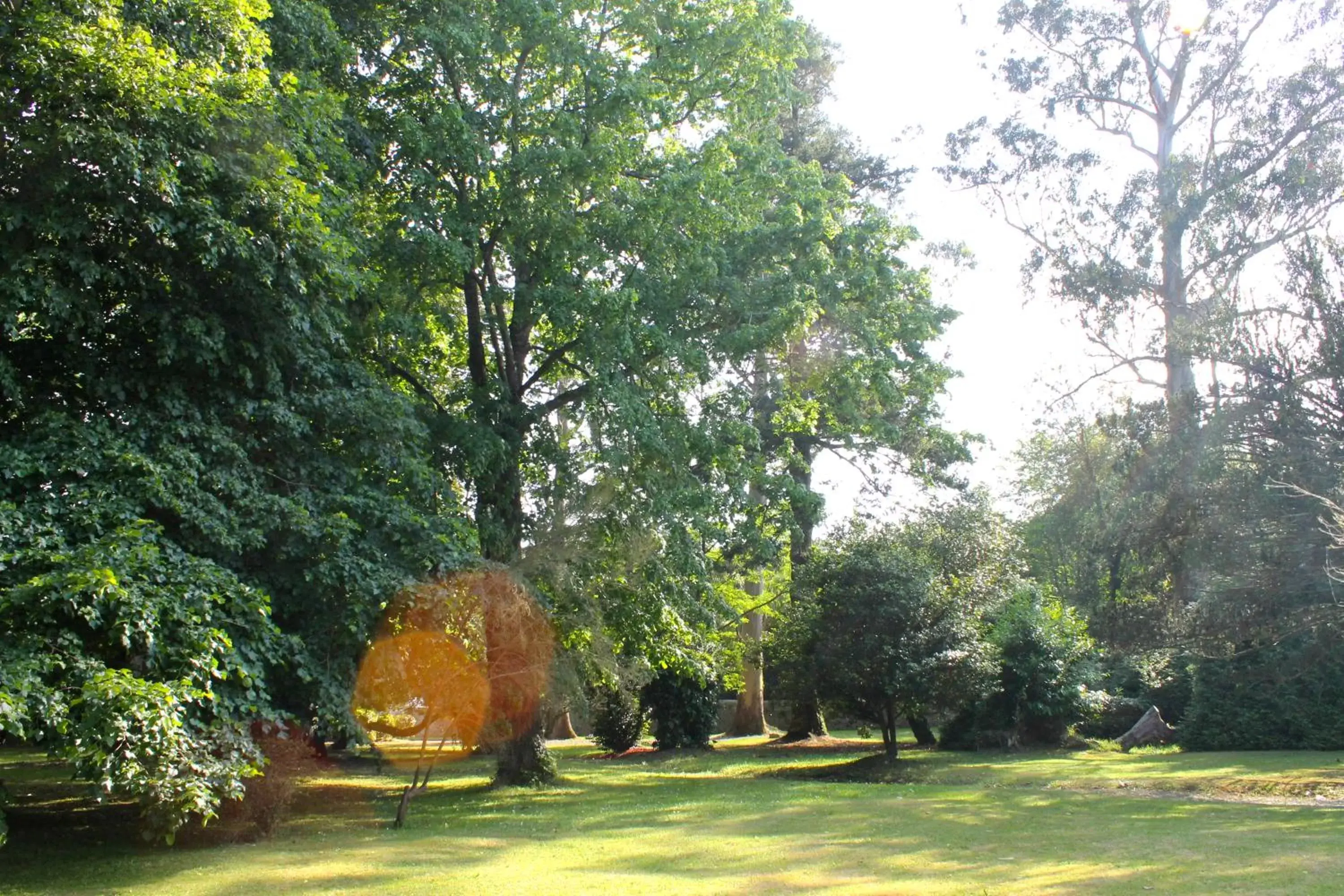 Spring, Garden in HOTEL BOUTIQUE VILLA DEL MARQUÉS