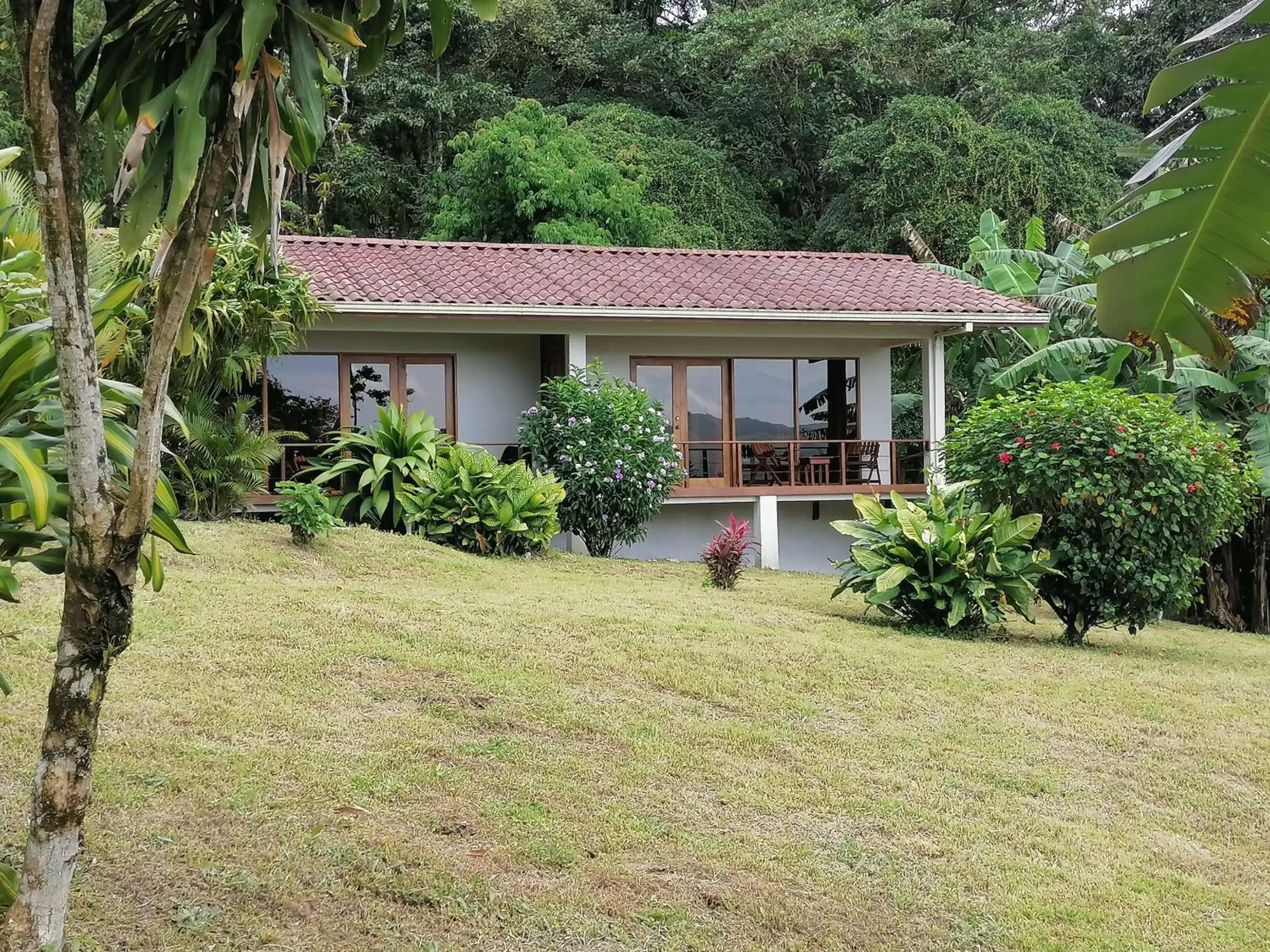 Property Building in La Ceiba Tree Lodge