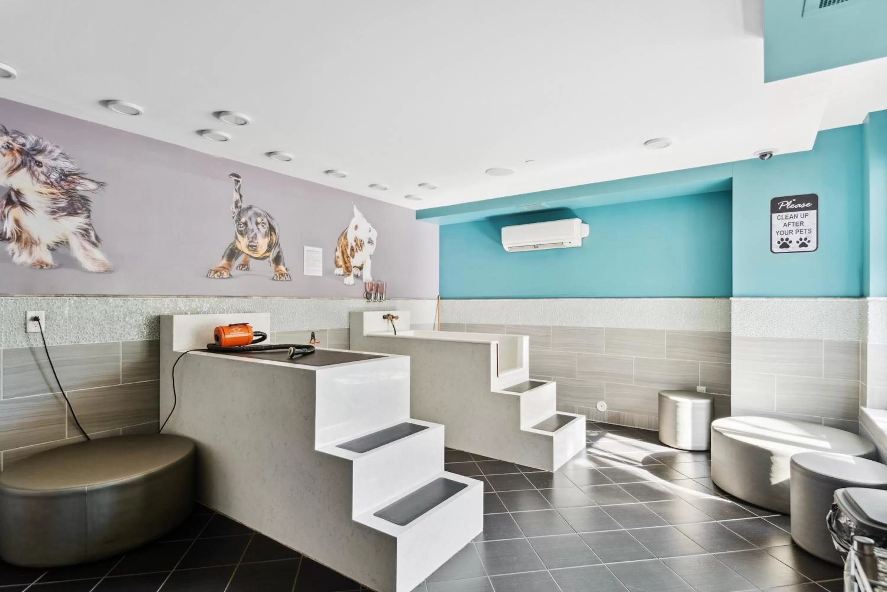 Pets in Kasa Dilworth Charlotte