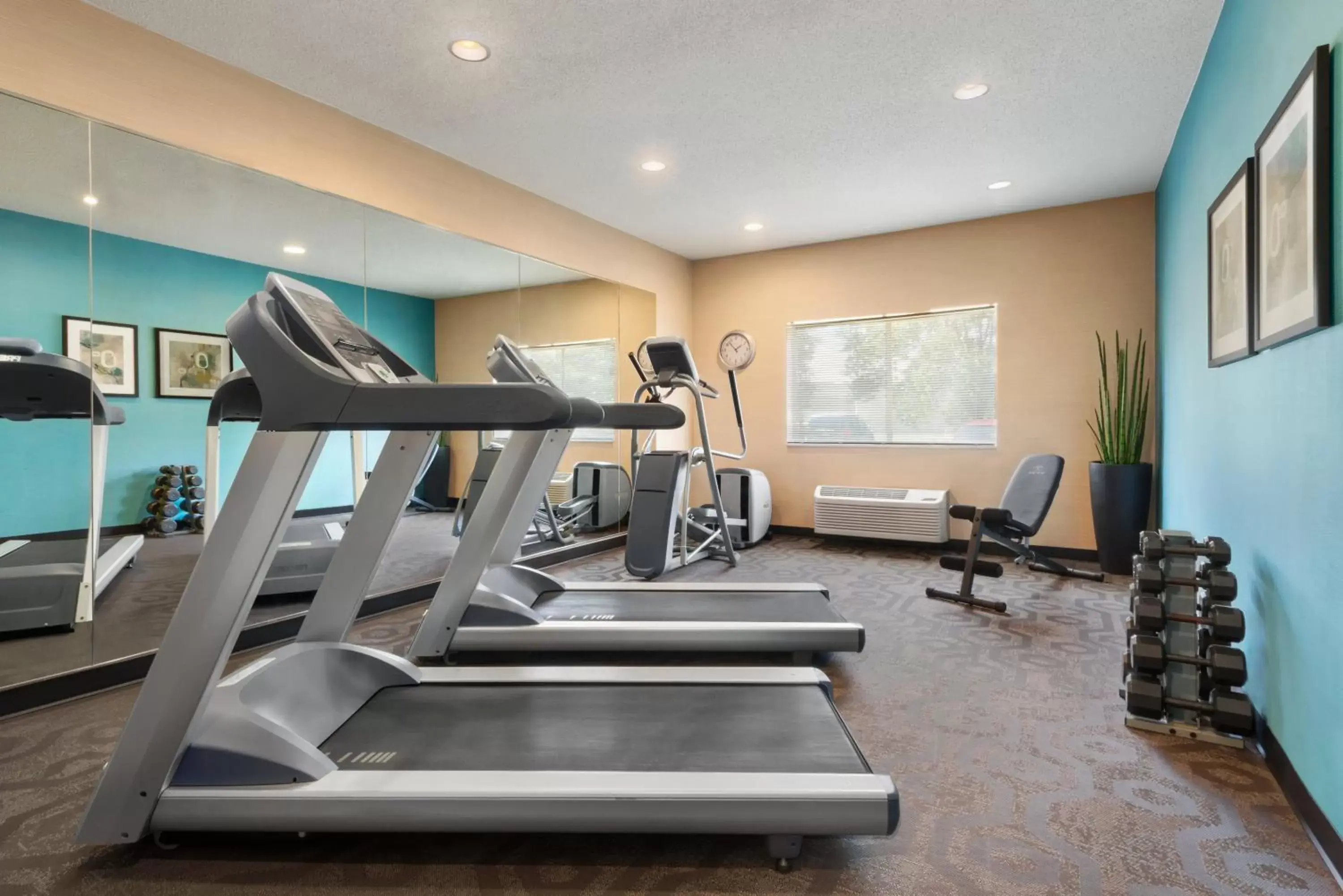 Fitness centre/facilities, Fitness Center/Facilities in Amerivu Inn and Suites