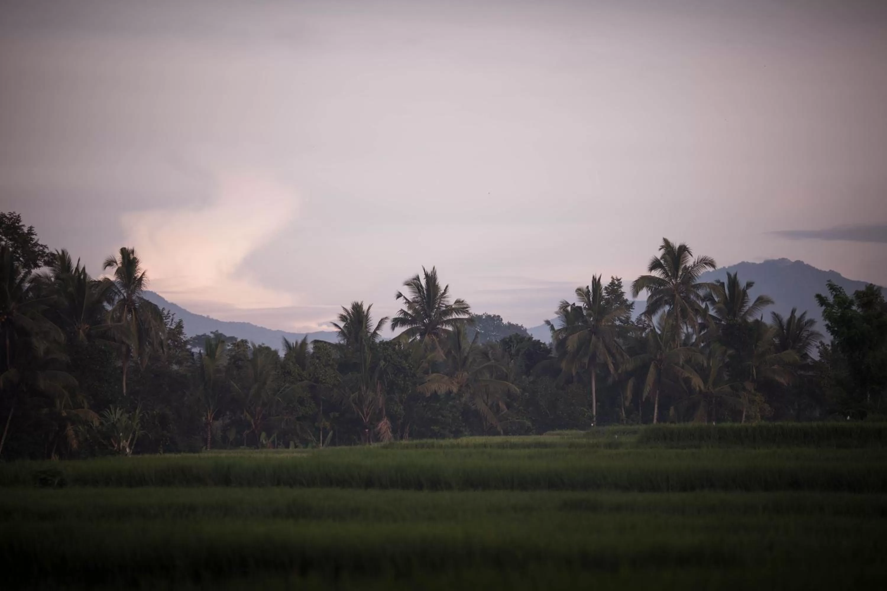 Bird's eye view in Manyi Village Ubud