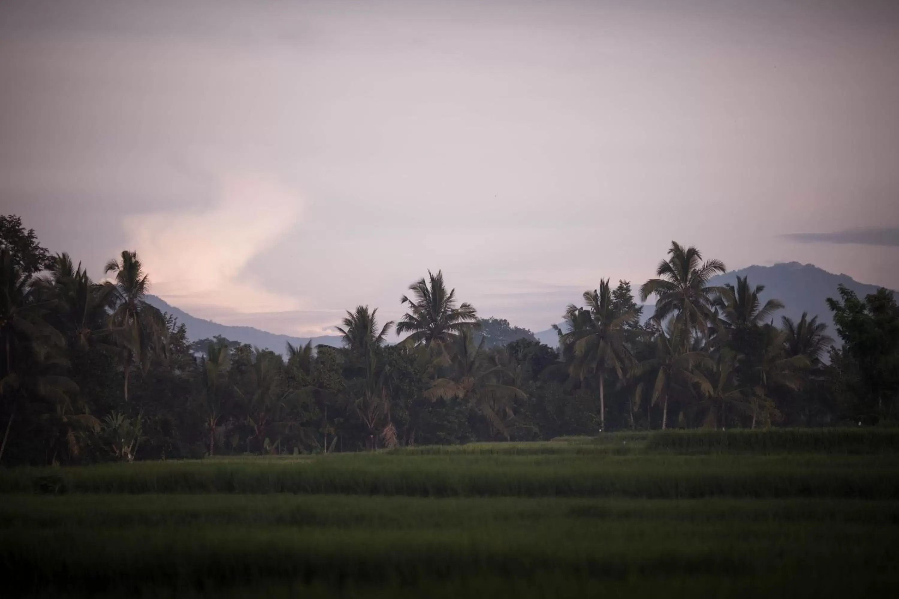 Bird's eye view, Natural Landscape in Manyi Village Ubud