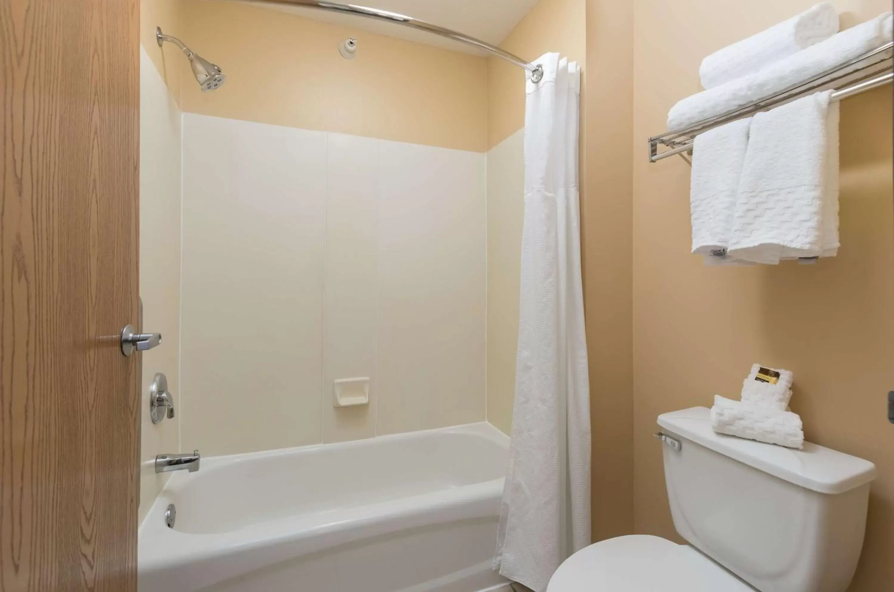 Bathroom in Best Western Plus Holland Inn & Suites