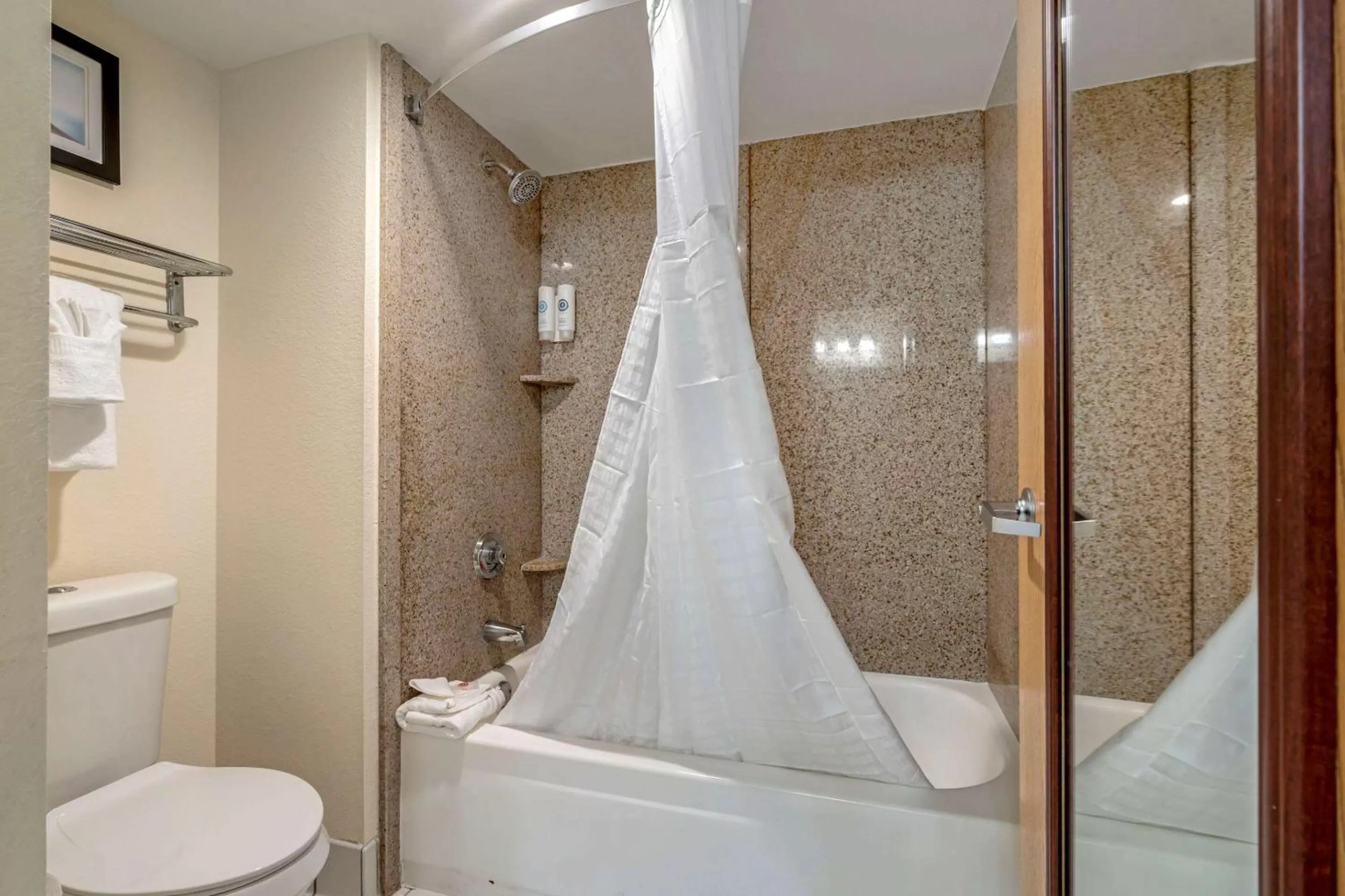 Bedroom in Comfort Inn Kissimmee-Lake Buena Vista South