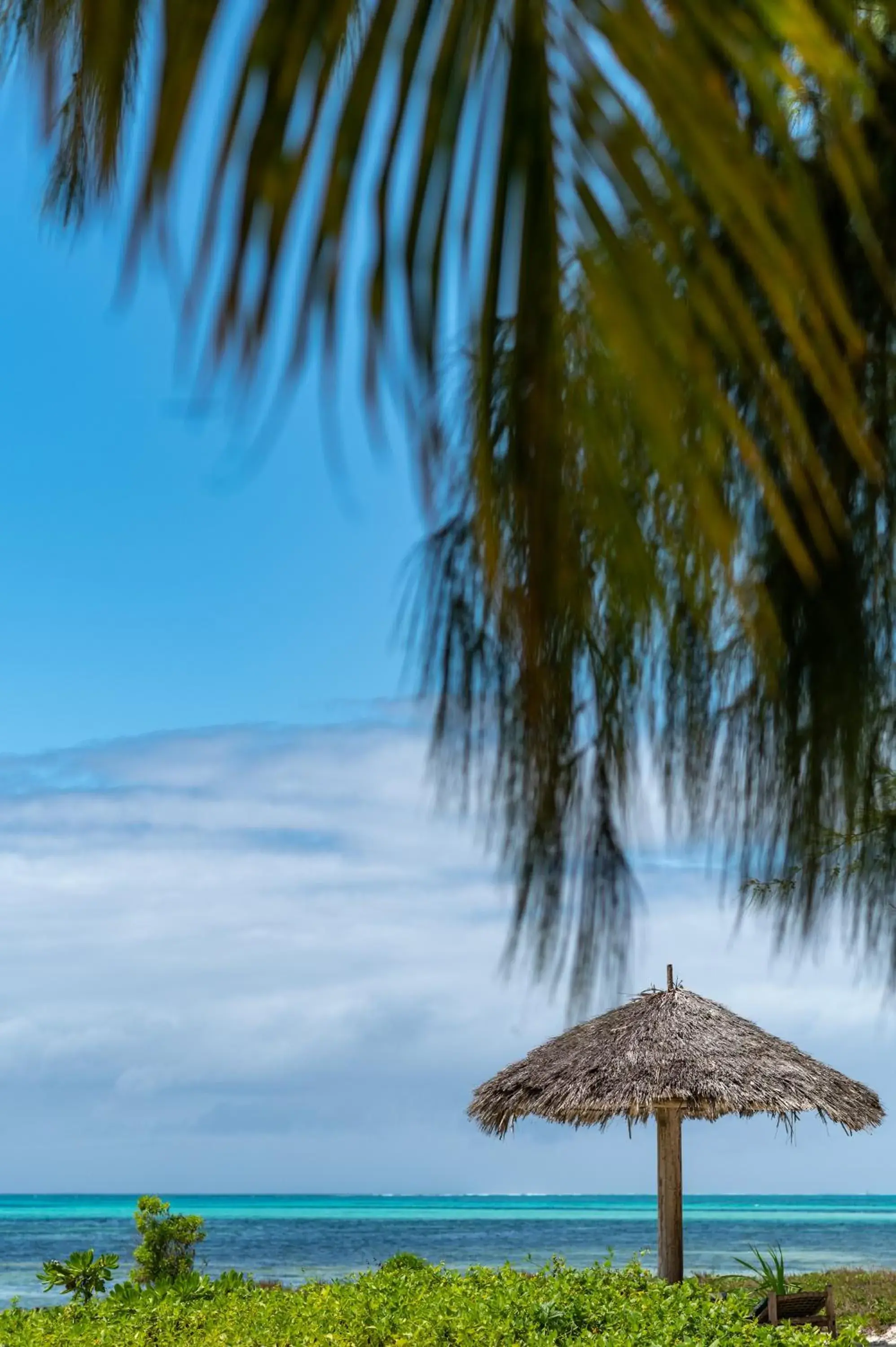 Natural landscape in Hakuna Majiwe Beach Lodge Zanzibar