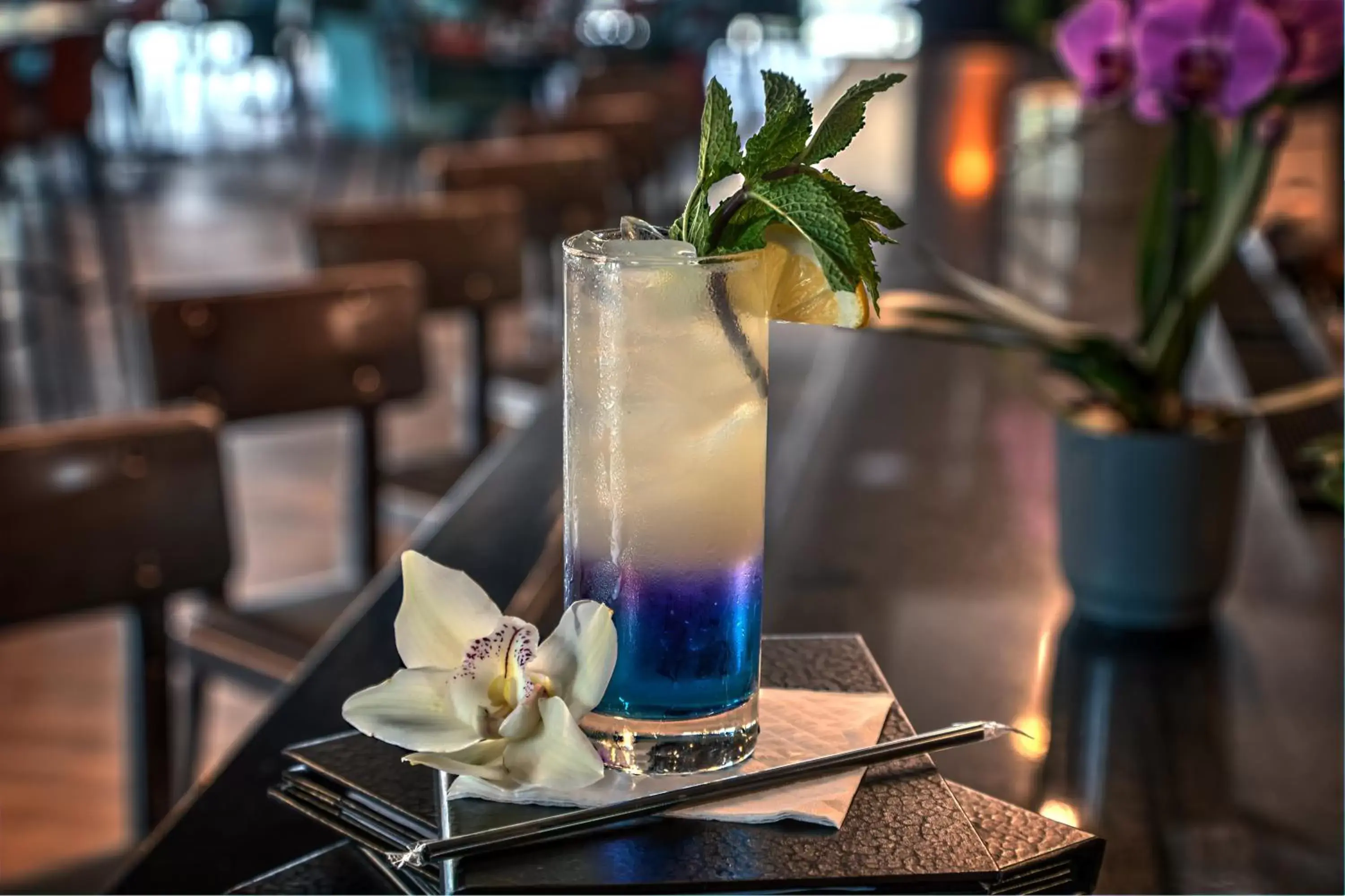 Lounge or bar in Hotel Indigo Pittsburgh University - Oakland by IHG Lounge or bar in Hotel Indigo Pittsburgh University - Oakland by IHG