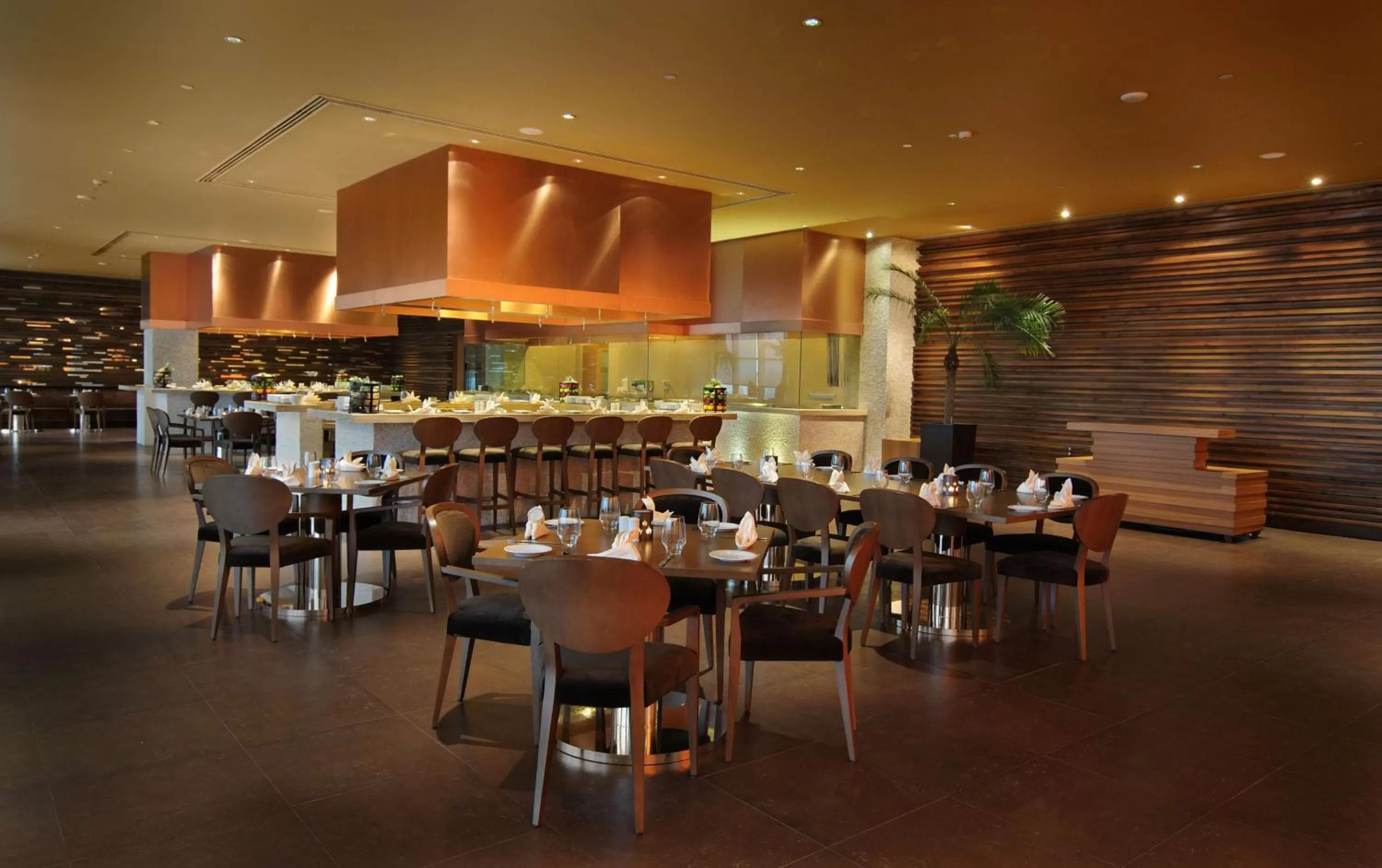Restaurant/places to eat in Radisson Blu Hotel New Delhi Paschim Vihar
