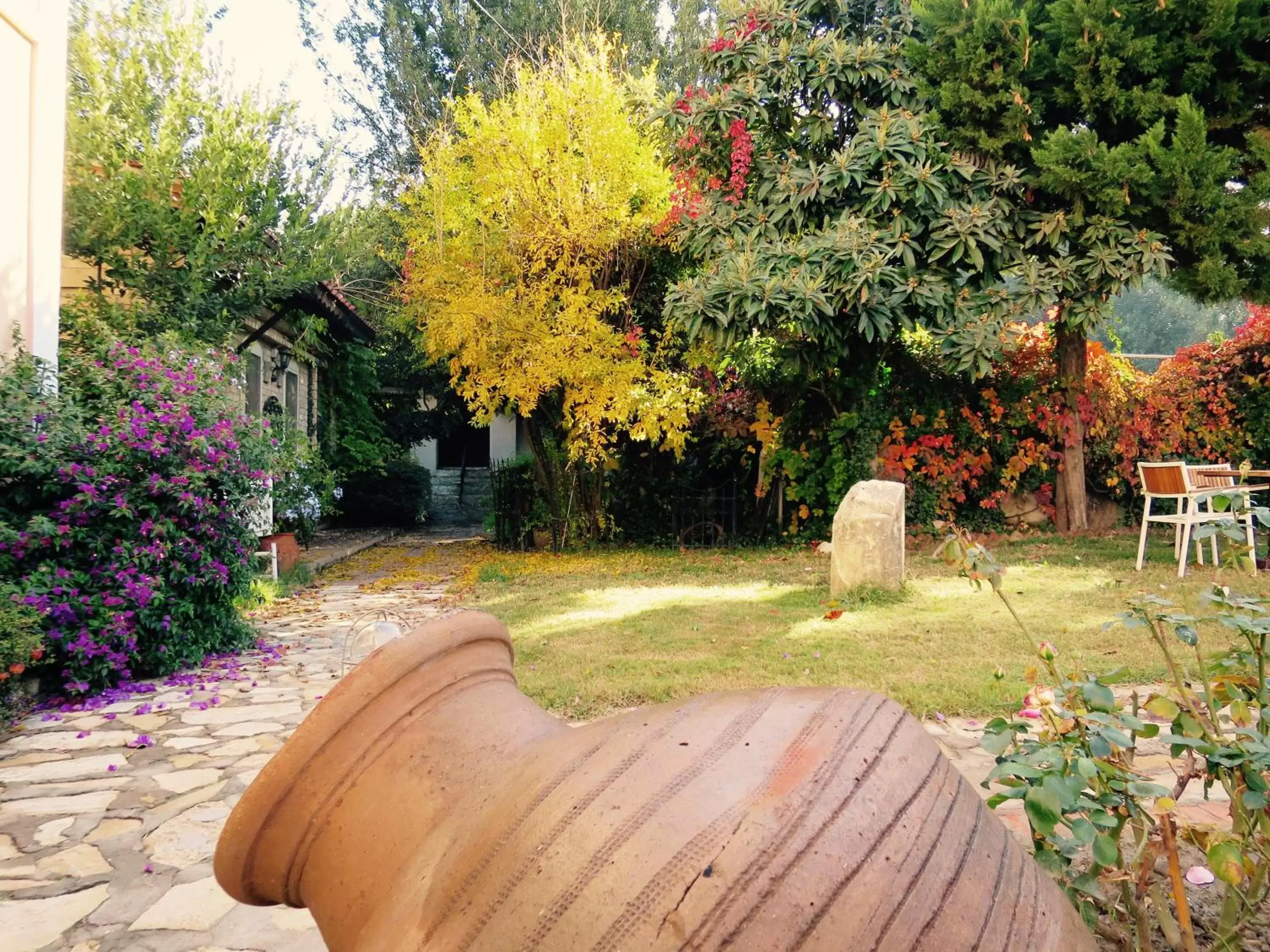 Garden view, Garden in Hotel Kalehan