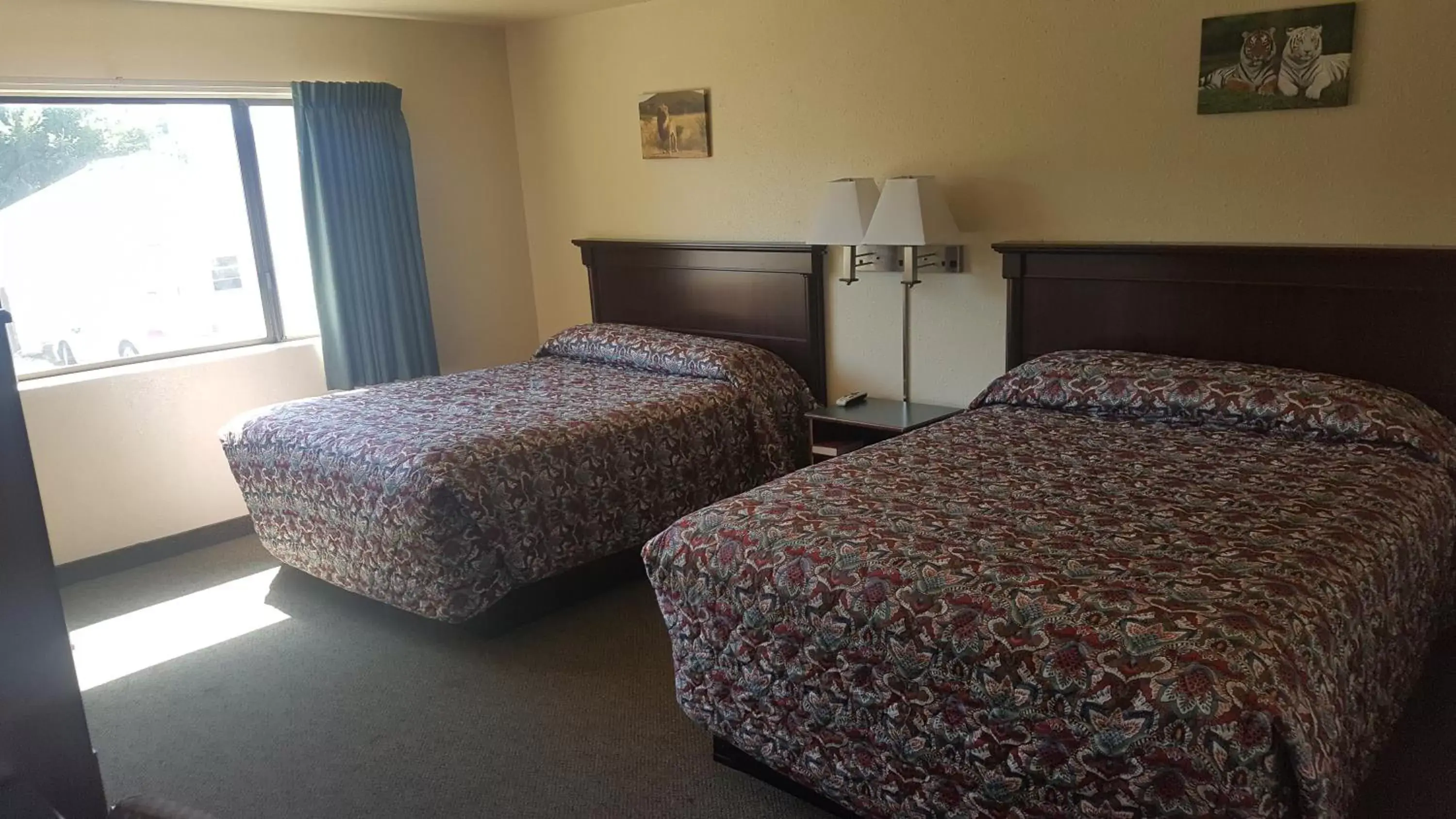 Bed in Safari Inn Motel