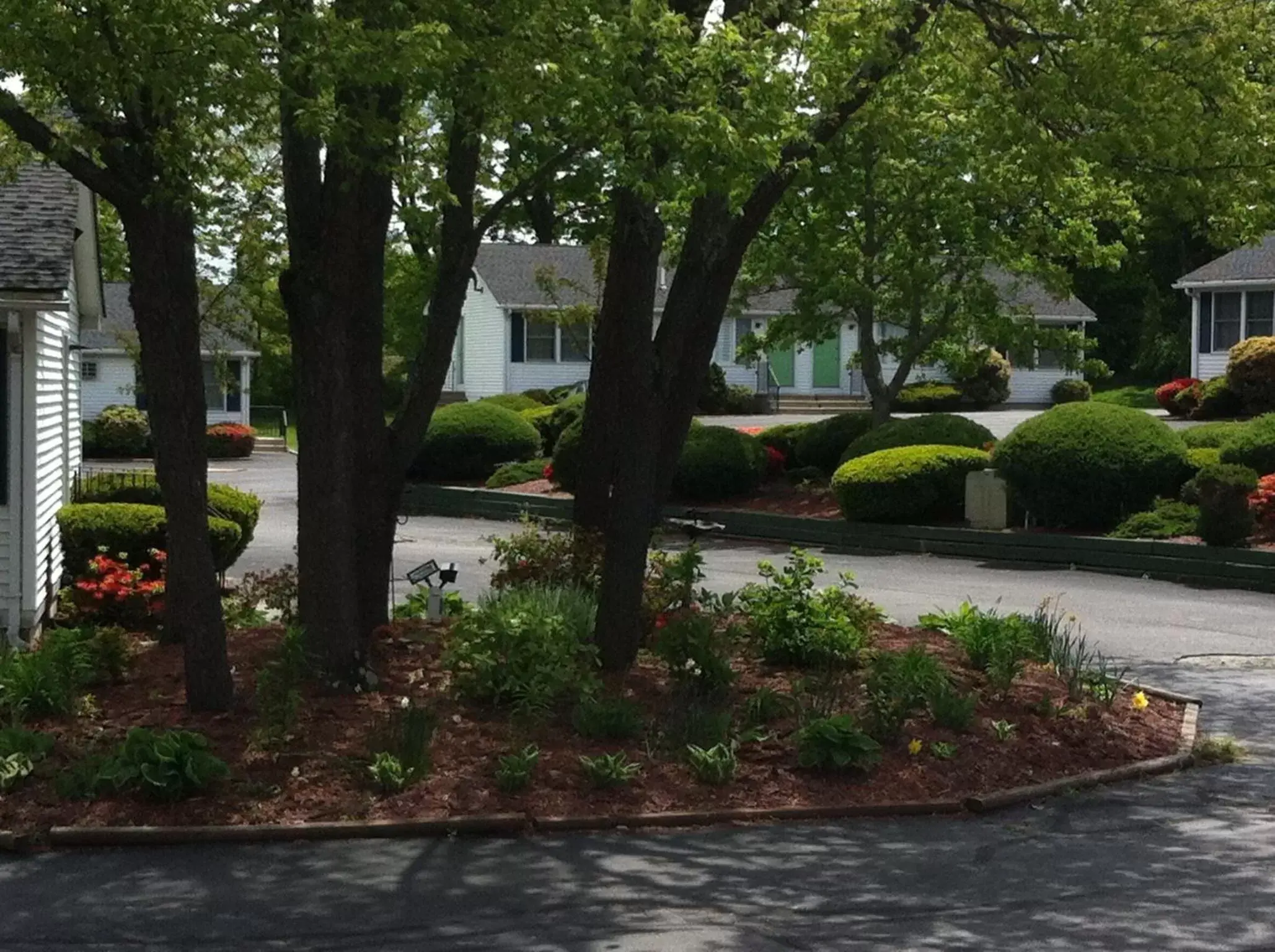 Decorative detail, Garden in Founder's Brook Motel and Suites