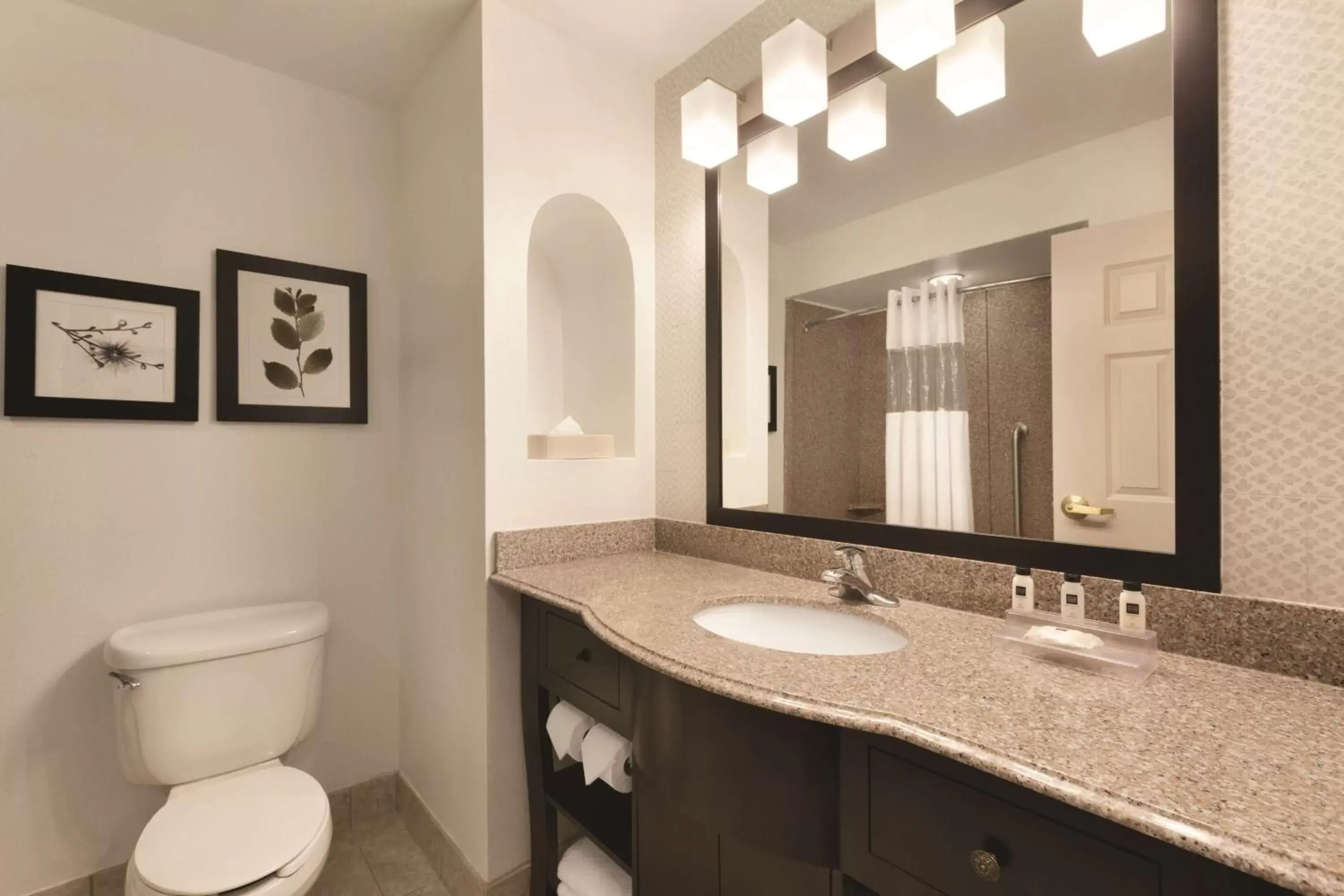 Bathroom in Country Inn & Suites by Radisson, St. Petersburg - Clearwater, FL