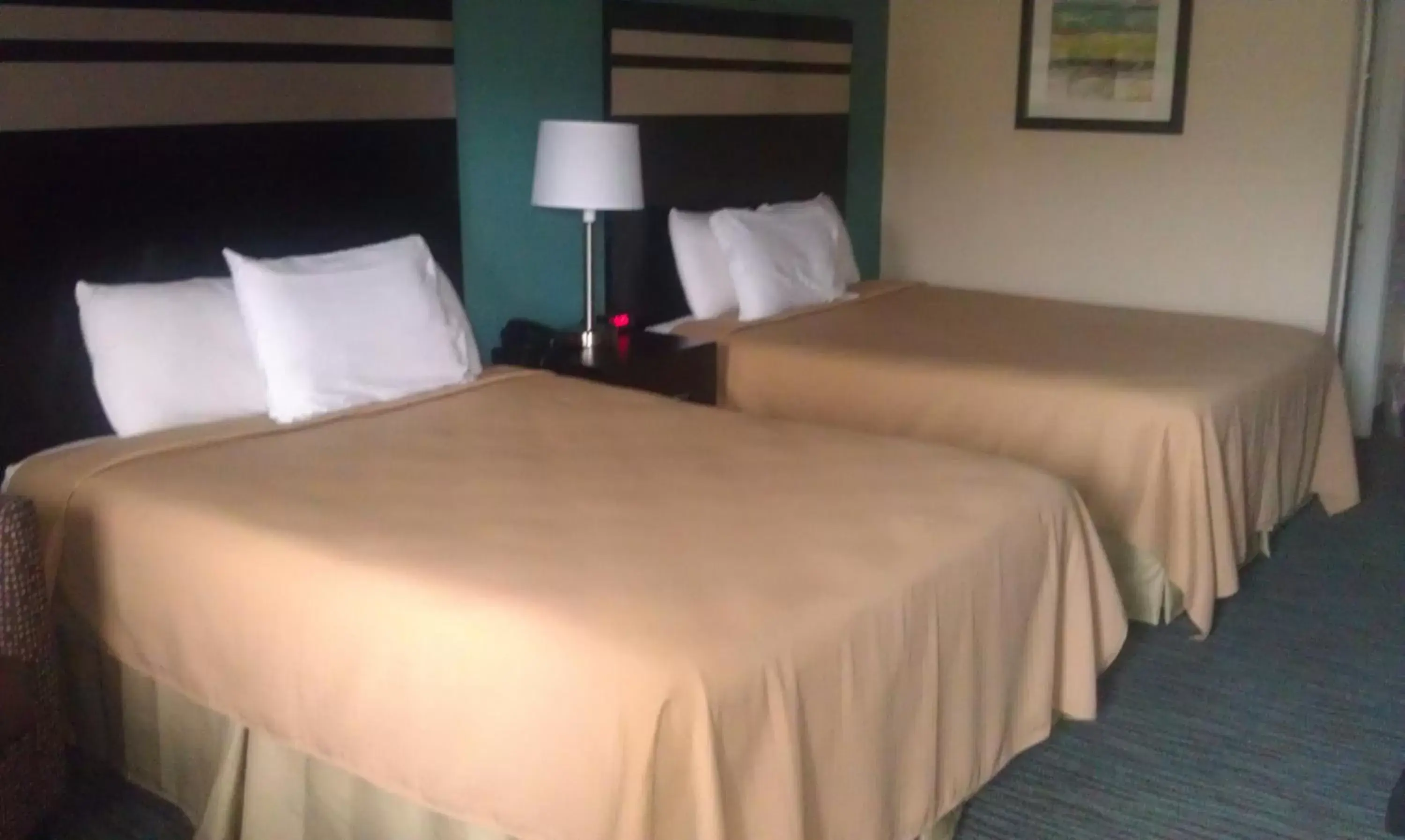 Bed in GuestHouse Inn Dothan Bed in GuestHouse Inn Dothan