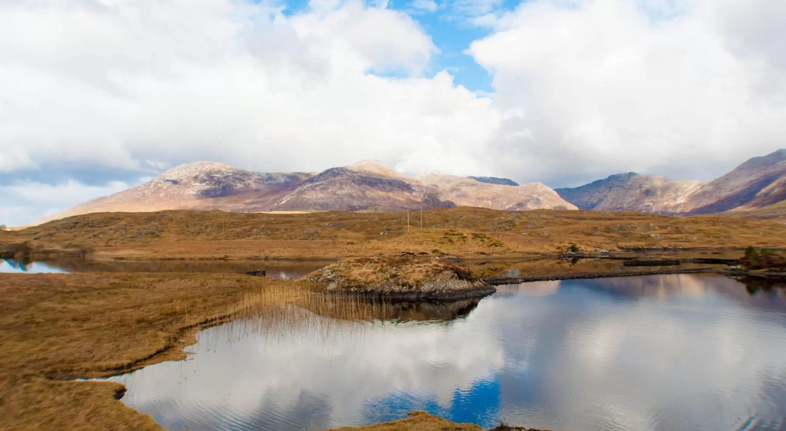 Natural landscape in Alcock & Brown Hotel