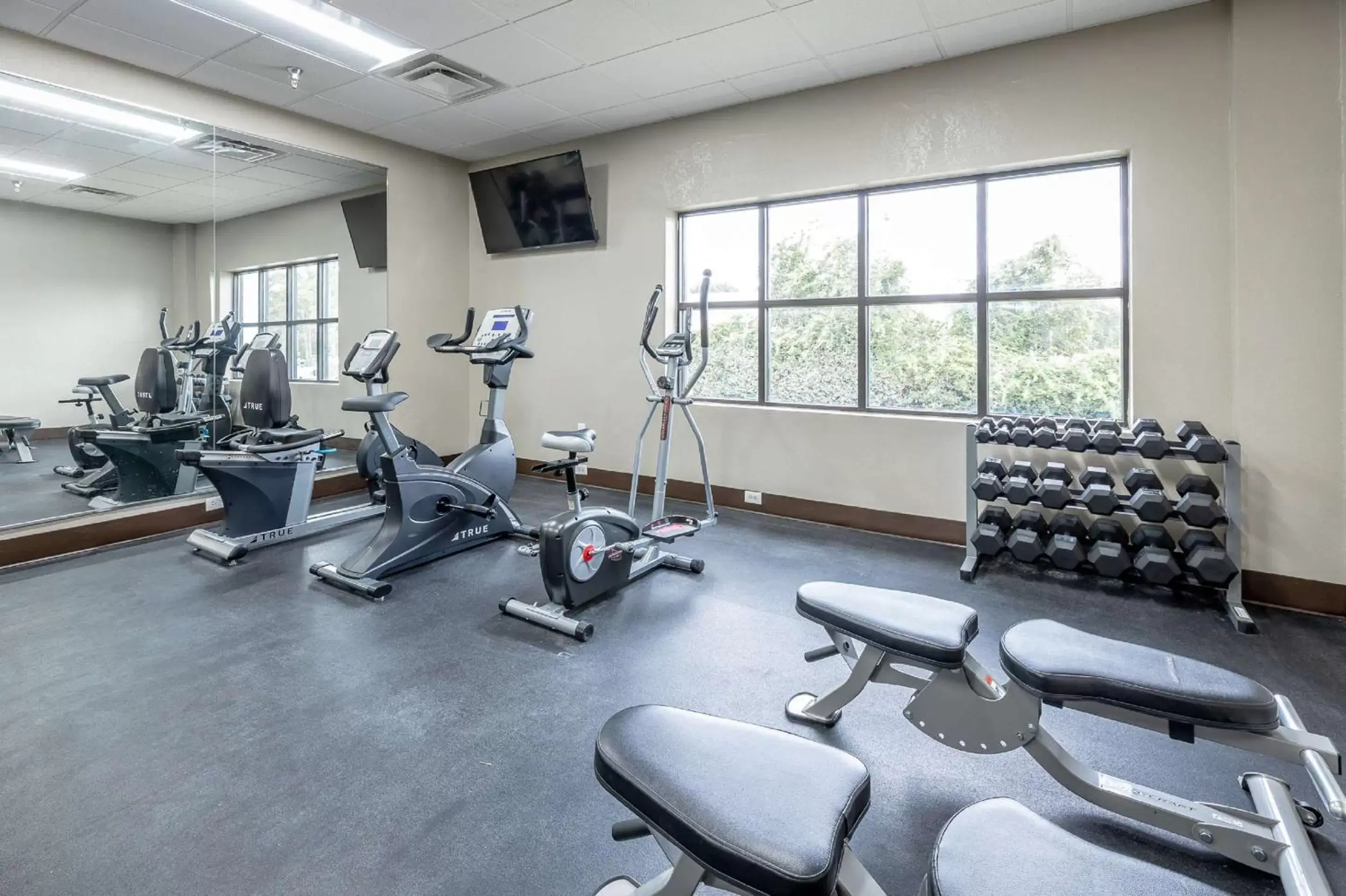 Spa and wellness centre/facilities, Fitness Center/Facilities in Best Western Plus Arbour Inn and Suites