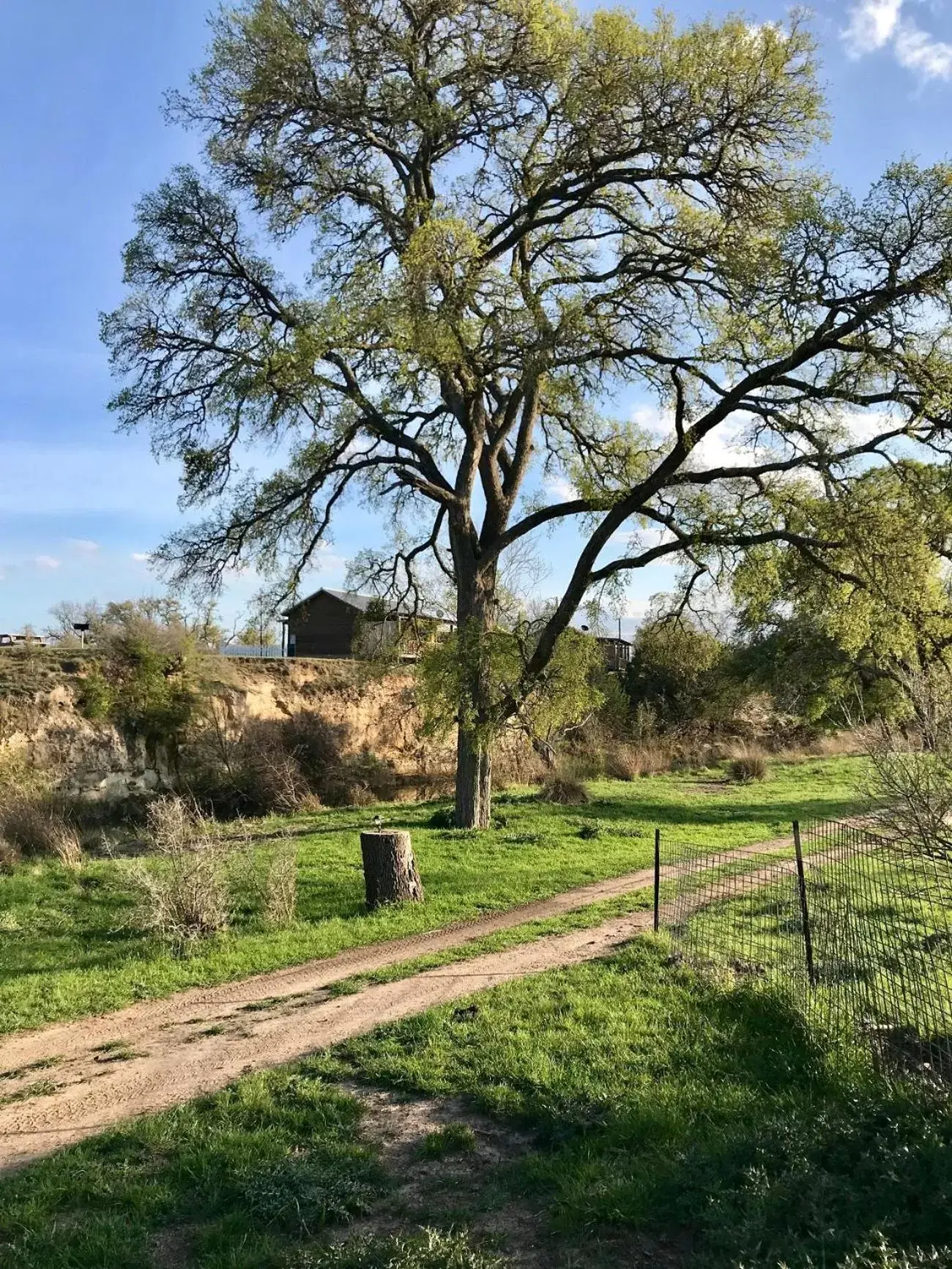 City on a Hill at Spring Creek