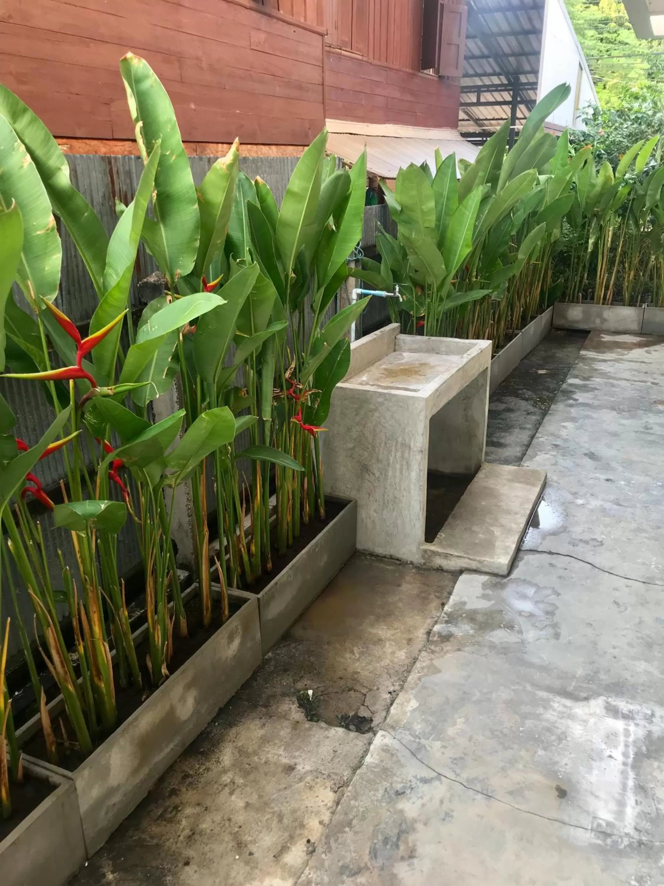 Garden in Cozy by Funwahn