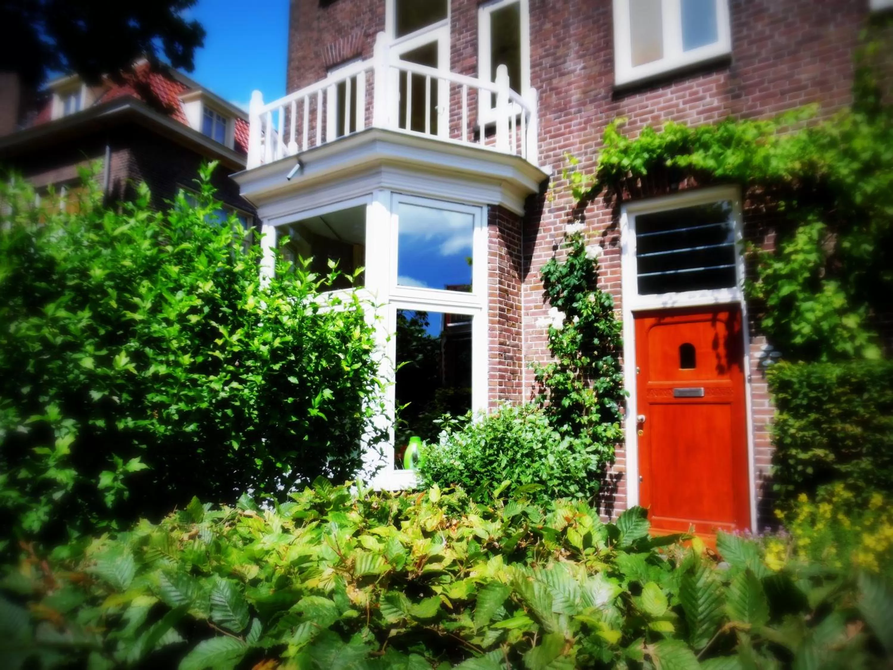 Property building in Hus