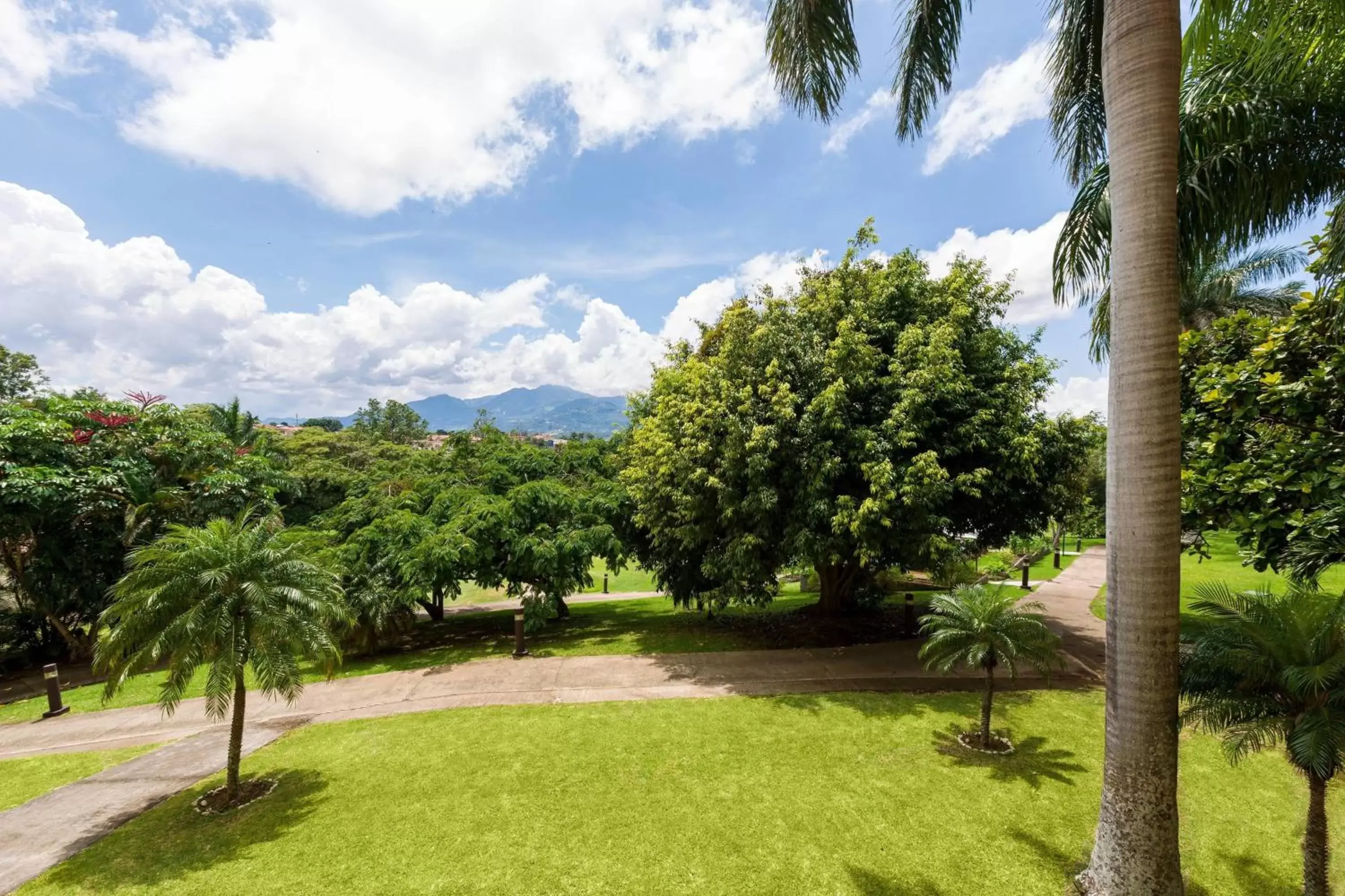Photo of the whole room, Garden in Costa Rica Marriott Hotel Hacienda Belen