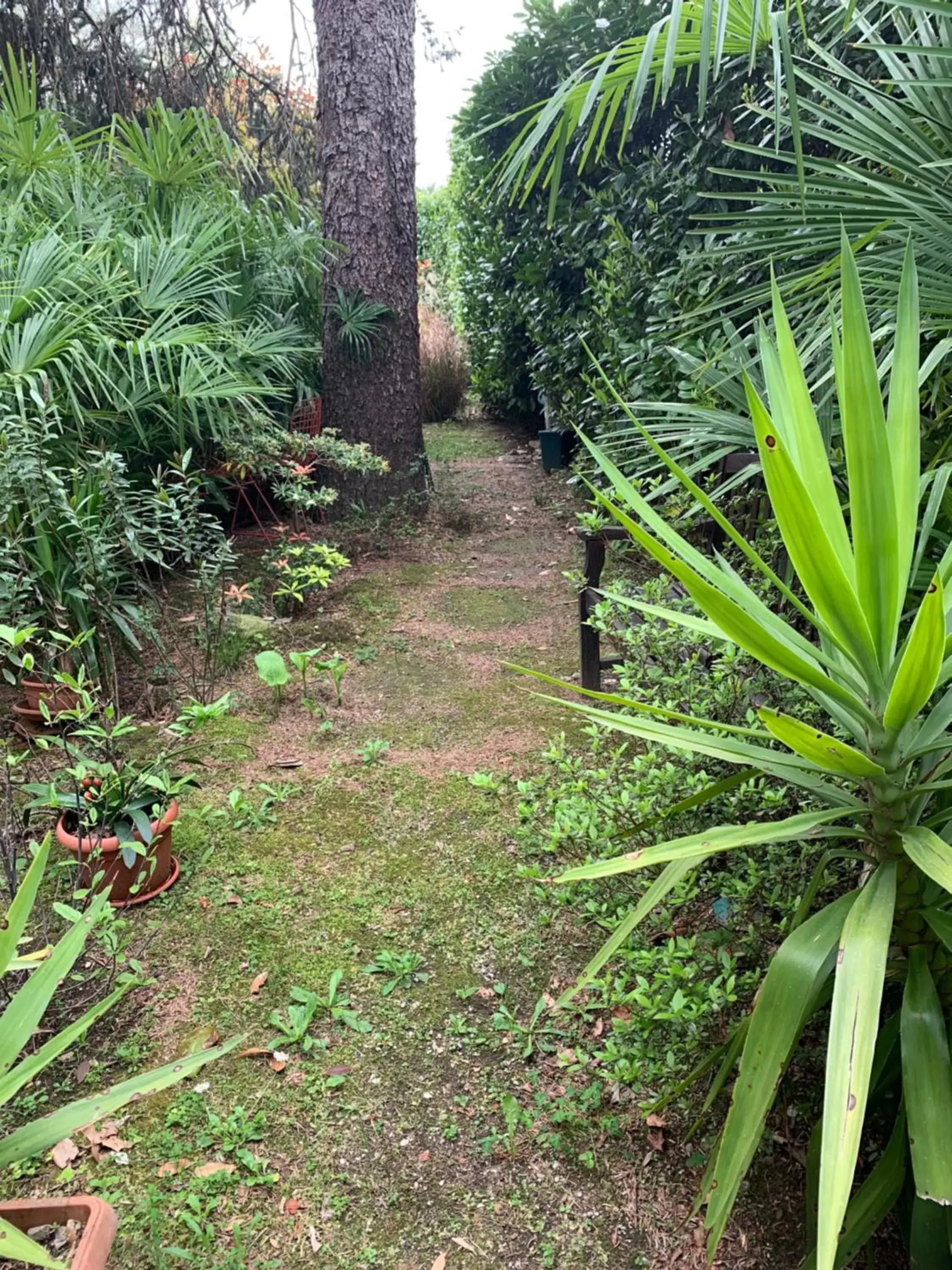 Garden in CASABELLA-LAGO MAGGIORE