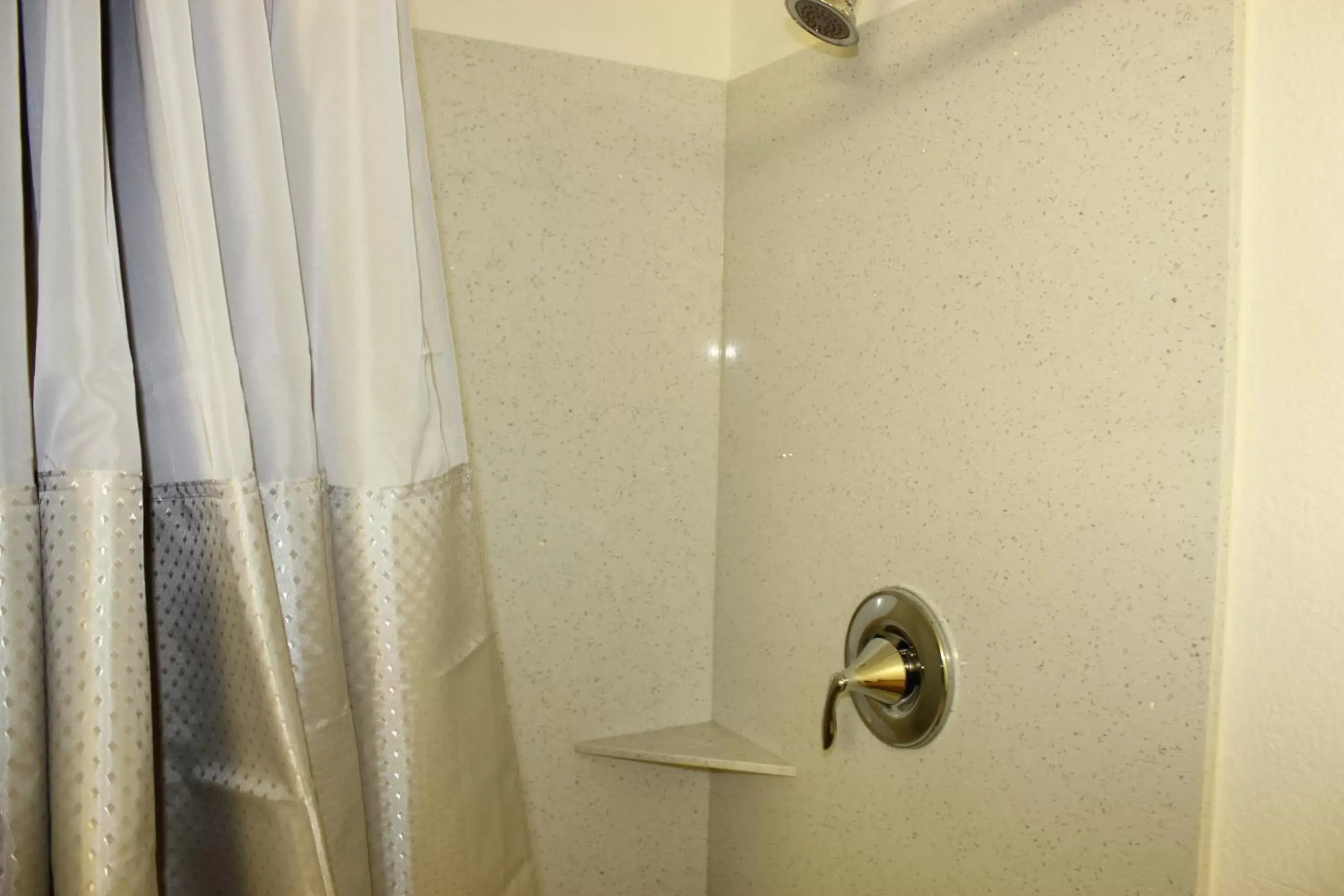 Shower, Bathroom in Motel 6-Rosenberg, TX