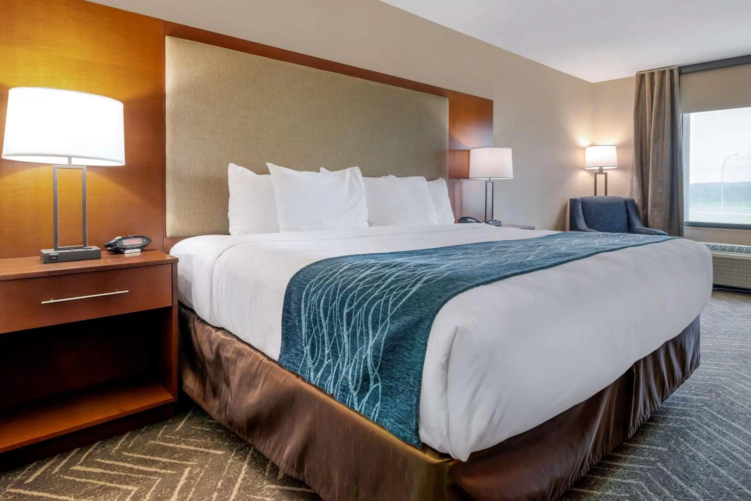 Standard King Room - Non-Smoking  in Comfort Inn & Suites Mountain Iron and Virginia